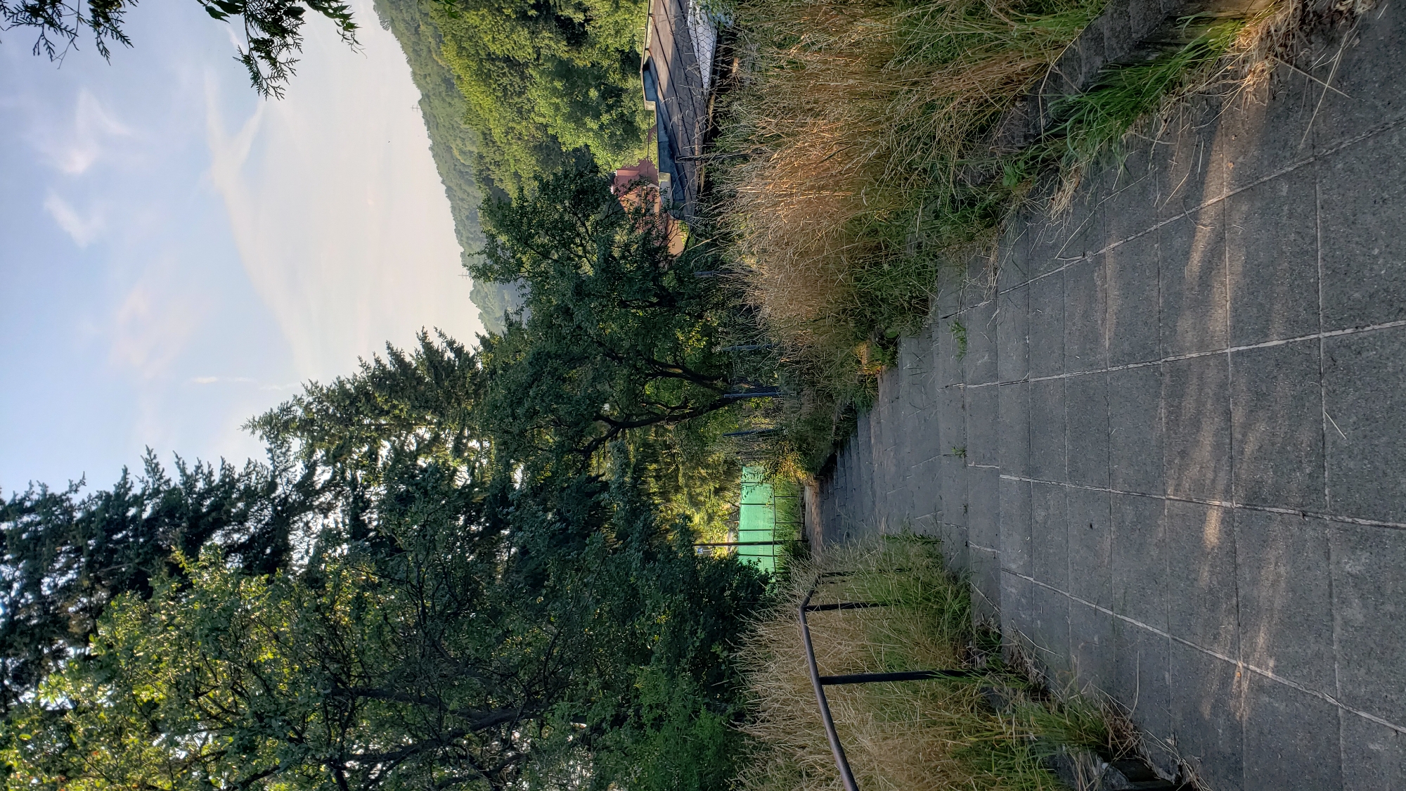 The image shows a descending stone staircase leading into a green field with trees and a building in the background. The staircase is bordered by dry, tall grass and a metal railing on the left. The environment appears to be outdoors, possibly a park or recreational area within the city of Prešov, Slovakia. The lighting suggests it is daytime, with sunlight casting shadows on the stairs. There are no people or animals visible in the image, and no notable actions or interactions are taking place. The building in the background appears somewhat dilapidated. The overall scene depicts an outdoor staircase in a natural setting within an urban environment.