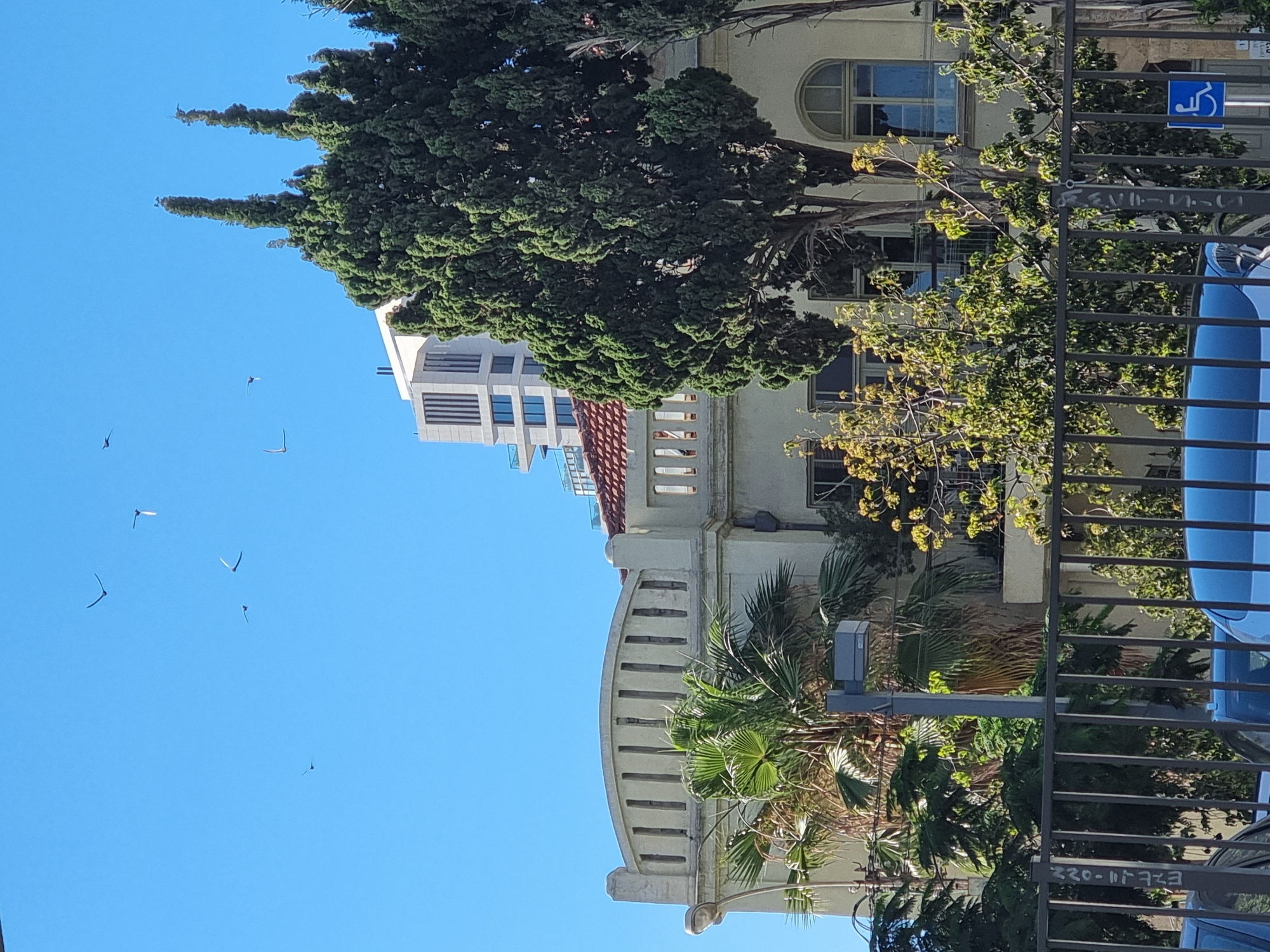The photograph captures a view of a city street in Tel Aviv, Israel. The sky is a clear blue, with a flock of birds in flight. A blend of old and modern architecture characterizes the cityscape. A classic-style building with arched windows and a red-tiled roof stands adjacent to a taller, modern structure. Green trees and palms partially obscure the view. A metal fence runs along the bottom right corner, with a blue car visible behind it. A blue handicap sign is visible attached to the building in the background.