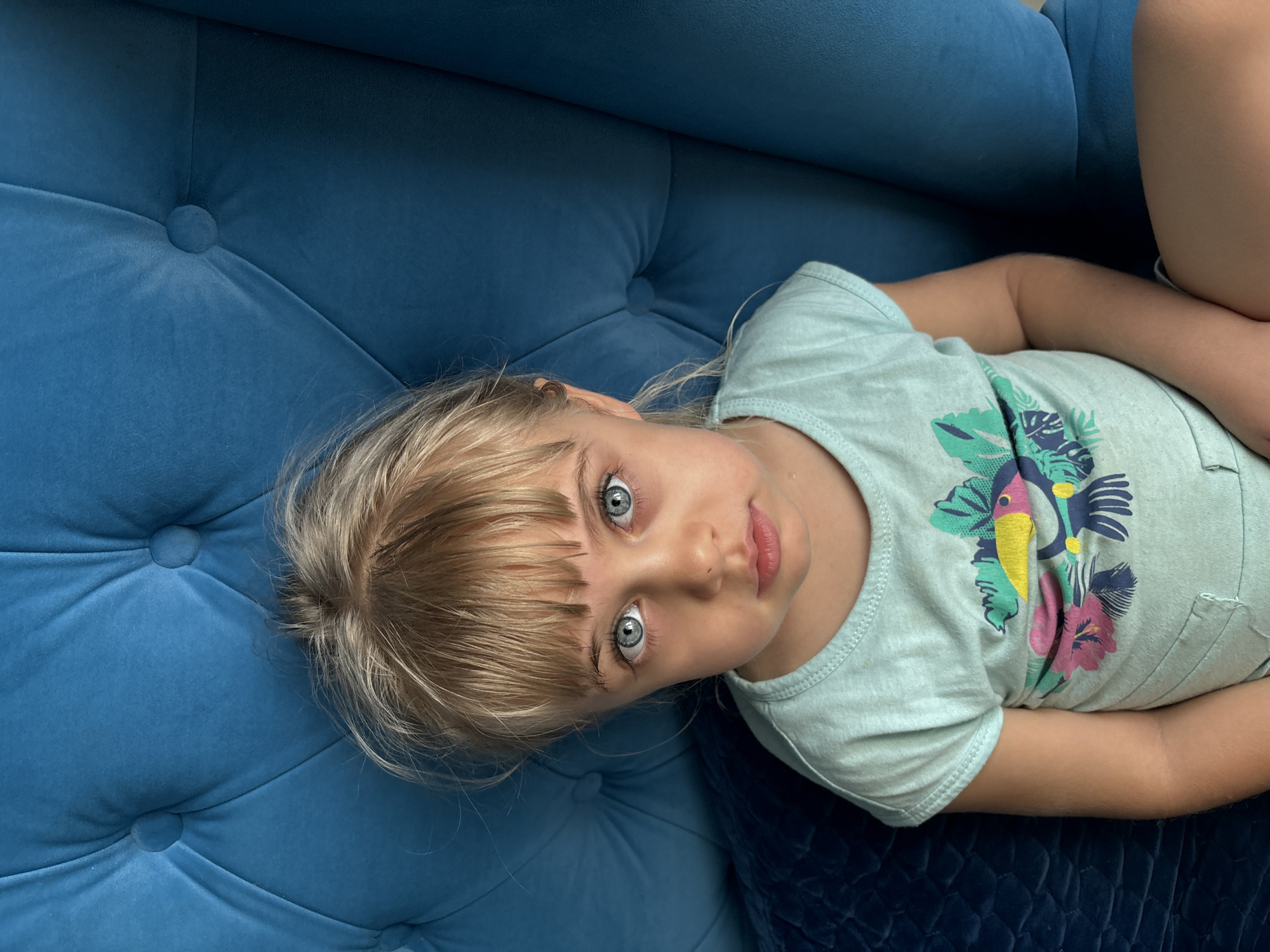 A young child with blonde hair and blue eyes lies on a blue tufted sofa. She is wearing a light blue t-shirt with a colorful tropical bird design. The scene appears to be indoors. The location is unknown.