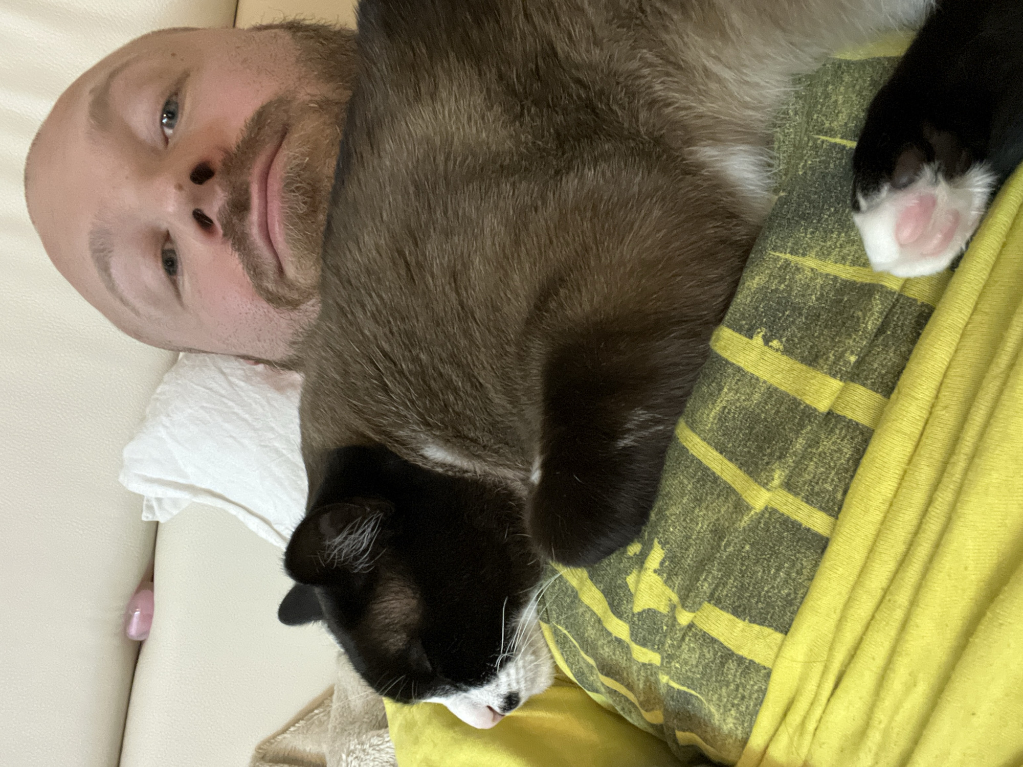 A man with fair skin, a shaved head, blue eyes, and a beard is lying on a beige couch. A black and white cat is lying on his chest, with its paw visible on a yellow and gray striped shirt. A white cloth is visible near the man's head. The location information is not discernable from this image.
