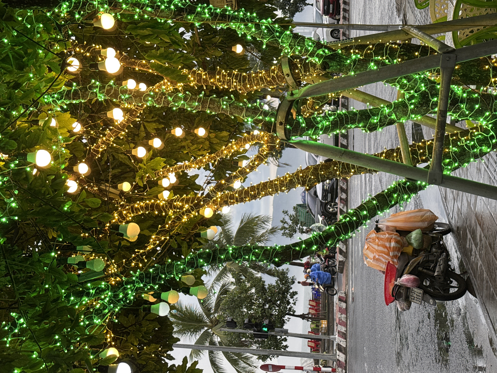 The image depicts a street scene in Đà Nẵng, Vietnam, likely near the beach. The foreground is dominated by a tree adorned with green and yellow string lights, some of which are larger bulb-style lights. The tree is supported by metal scaffolding. To the left, a parked motorcycle is heavily laden with plastic bags and a red basket. A wet street with reflections suggests recent rain. In the background, palm trees are visible, along with a traffic light, several cars, and a glimpse of a building. Two individuals on a scooter, wearing blue raincoats, are present on the road. The overall atmosphere is that of a coastal city street, possibly decorated for an event.
