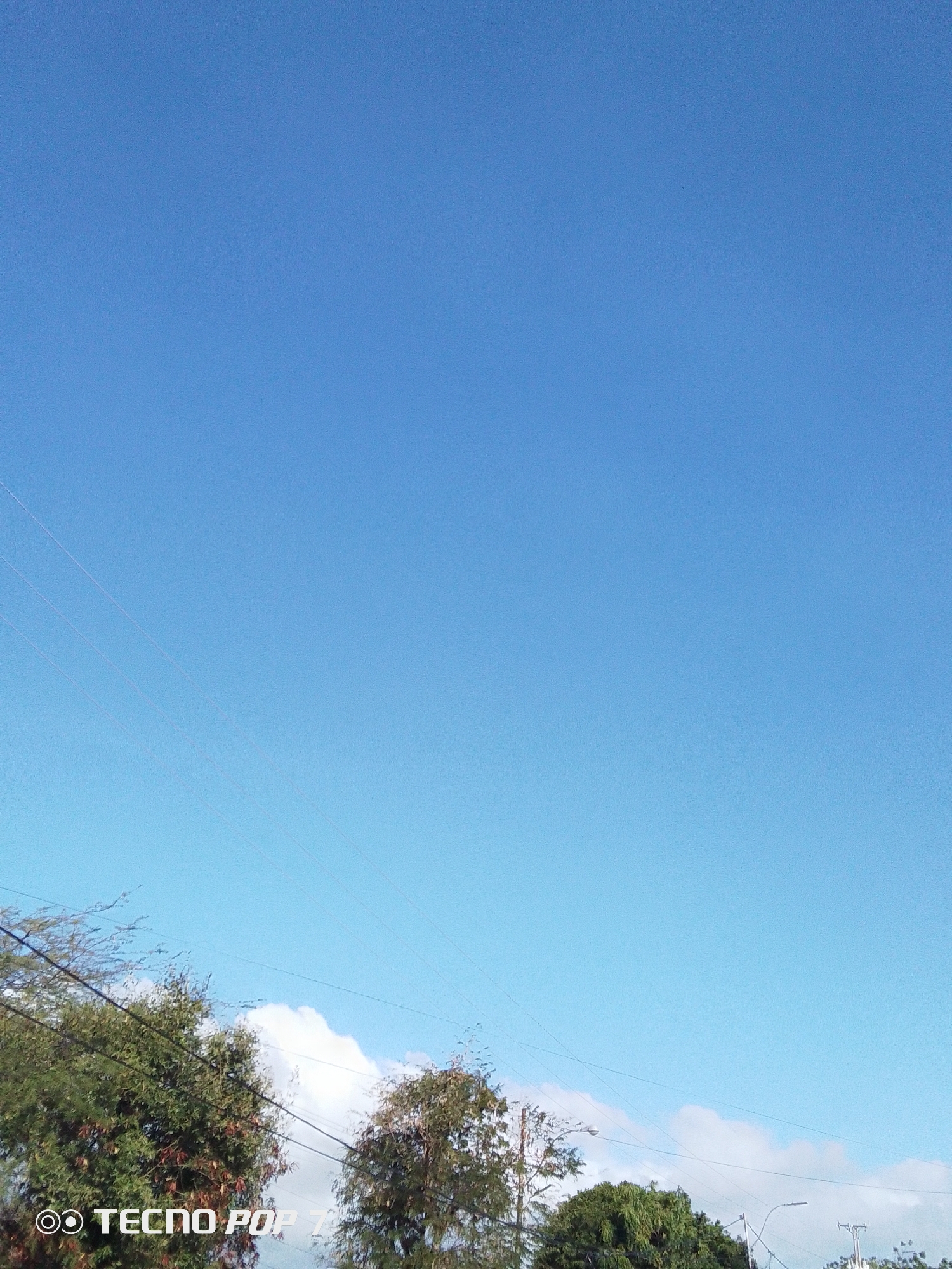 A view from the city of Altagracia, Venezuela, looking up at a blue sky with faint wisps of clouds near the horizon. The bottom of the frame contains treetops and power lines. The "Tecno Pop 7" watermark is visible in the lower left corner.