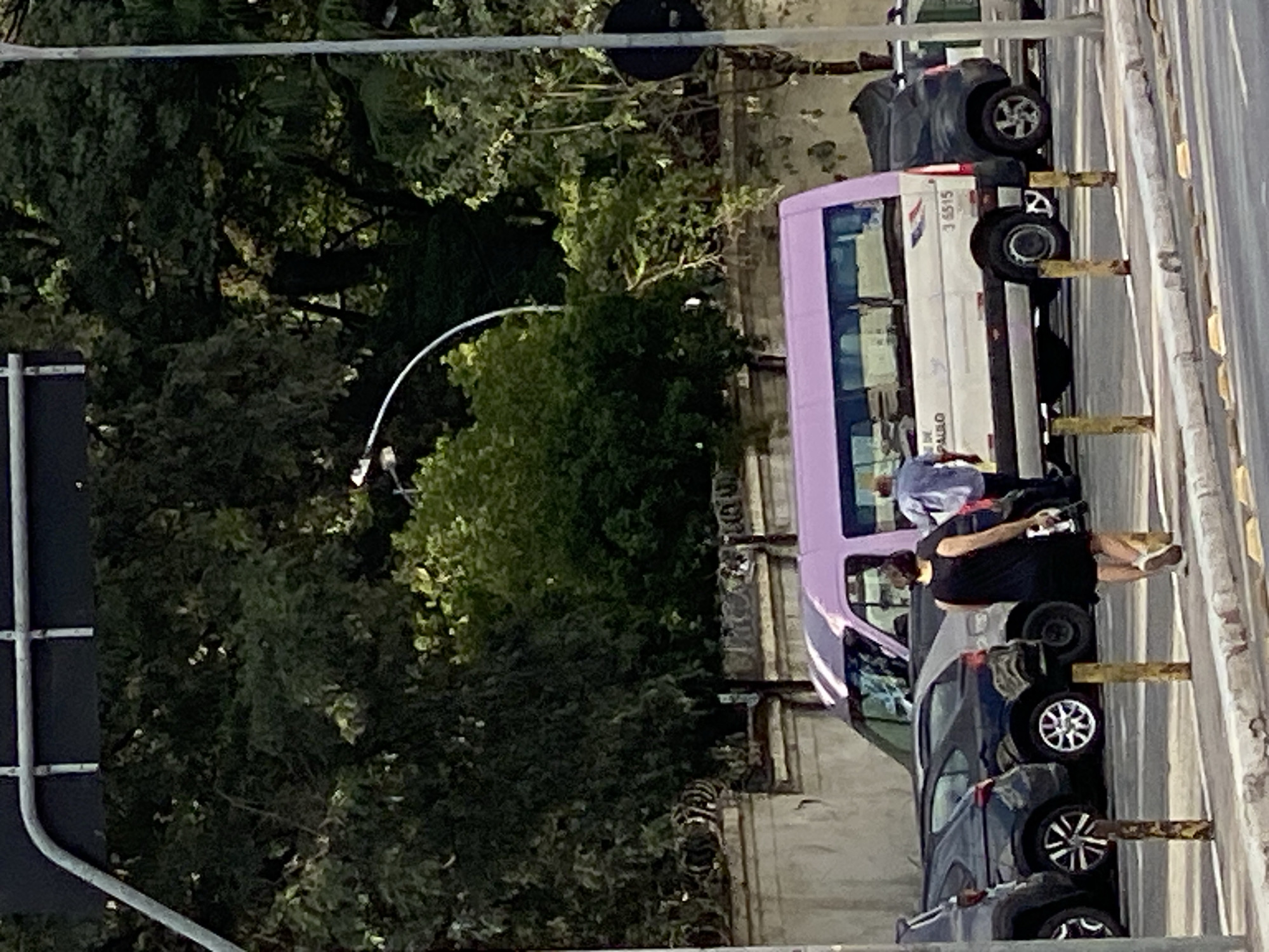 The image shows a street scene in São Paulo, Brazil. A person wearing a black shirt and tan shoes is standing near a lavender and white van, which appears to be a shuttle or public transport vehicle. Nearby are parked vehicles, including a dark-colored car. In the background, there are green trees and a street light. The scene takes place along a street with a concrete barrier.