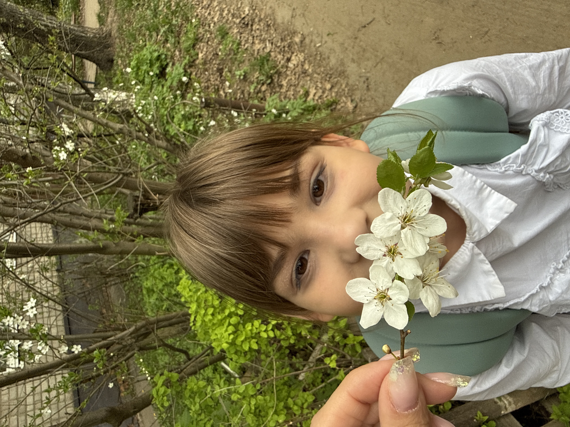 A young girl with brown hair and brown eyes is holding a small branch with white flowers close to her face. She is wearing a white shirt with ruffles and a sage green backpack. The background includes greenery, trees with white blossoms, and what appears to be a dirt path. Given the location is Rusanovo, Russia, the image likely depicts a scene in a park or garden in that city during springtime when flowering trees are in bloom. A hand with decorative glittery nails is holding the branch of flowers.