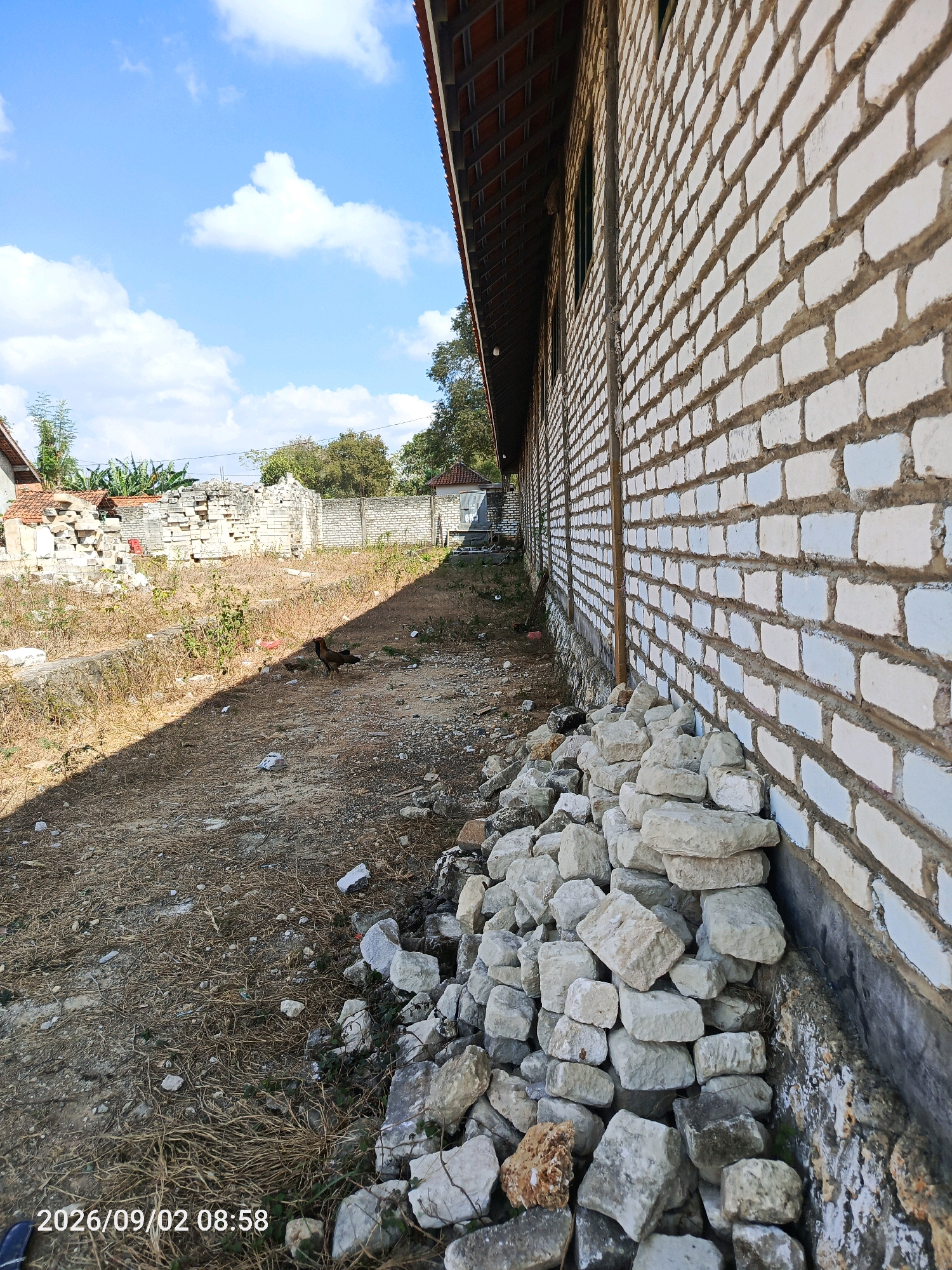 In Tattangoh, Indonesia, an outdoor scene features a long, white brick building with a dark tiled roof under a bright blue sky with scattered white clouds. The building's wall is constructed of white bricks with visible mortar lines, extending from the foreground to the background. To the left of the building, a rough, unpaved area with dry grass, dirt, and scattered stones is visible. A pile of light-colored stones is stacked against the base of the brick wall in the foreground. Further into the scene, to the left, are piles of light-colored building blocks or stones, remnants of construction or demolition. Several small trees and greenery are present in the middle ground. A single chicken stands in the dry grass area. The bottom left corner of the image displays a timestamp: "2026/09/02 08:58".