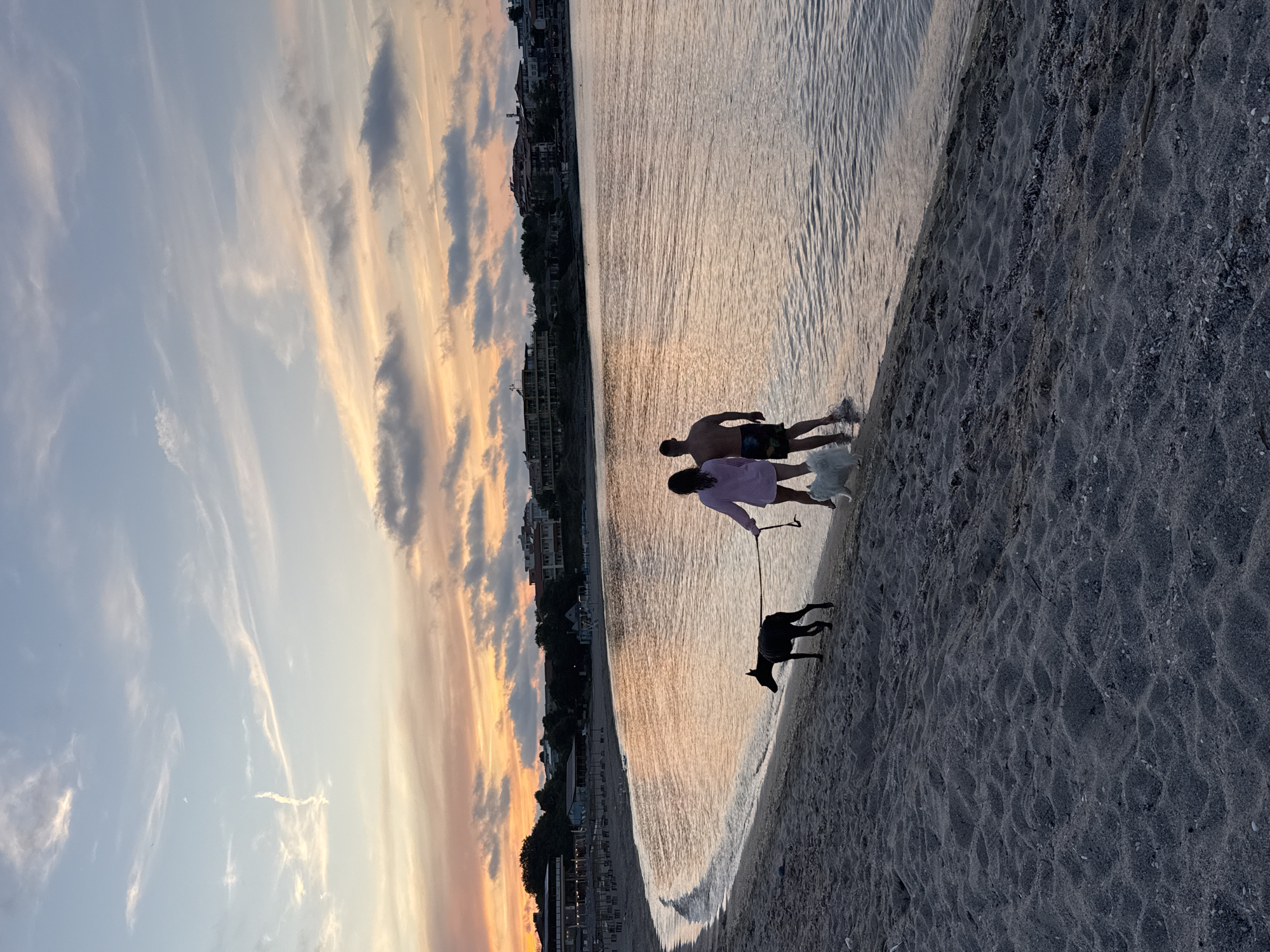 The image depicts a serene beach scene in Tsarevo, Bulgaria, during sunset. A man and a woman are walking along the shoreline with two dogs. The man is shirtless and wearing swim trunks, while the woman is wearing a light pink top and shorts. They are holding leashes attached to a black dog and a white dog. The black dog is walking ahead of the couple, and the white dog is positioned between them, partially in the water. The sea is calm with gentle waves lapping at the shore, reflecting the warm hues of the sunset sky. In the background, buildings and trees are visible along the coastline, suggesting the presence of a town or resort area. The sky is painted with streaks of orange, pink, and blue clouds, characteristic of a beautiful sunset. The sand on the beach appears dark and textured, with some scattered shells and debris. The overall atmosphere is peaceful and idyllic, capturing a moment of leisure and companionship by the sea.