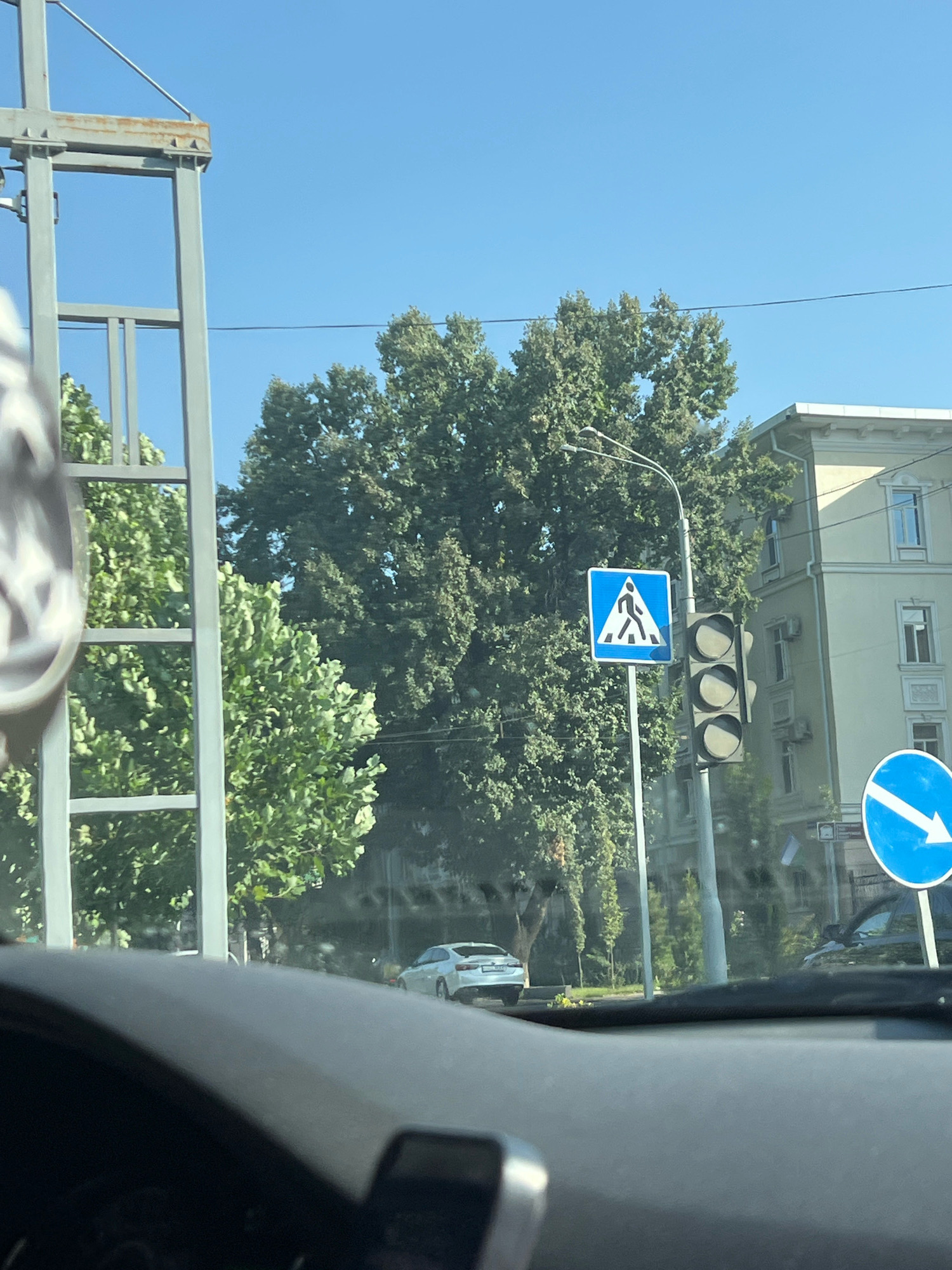 The image depicts a street scene, possibly taken from inside a vehicle. In the foreground, the dashboard of a car is visible. In the mid-ground, a pedestrian crossing sign and a traffic light are positioned next to a tall pole. A white car is parked on the side of the road. In the background, a building with multiple windows and an ornate facade stands. Dense green trees occupy a significant portion of the scene, with a clear blue sky above. Another traffic sign, a blue circle with a white arrow pointing diagonally downwards to the right, is visible on the right side of the image.