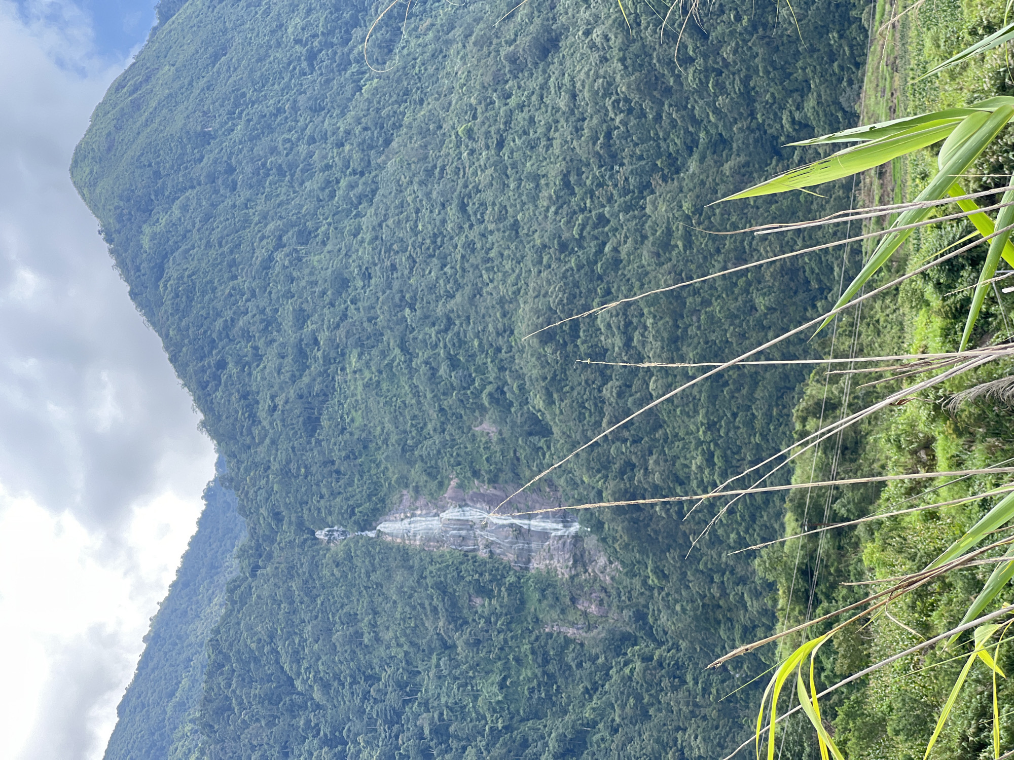 A tall, thin waterfall cascades down the rocky face of a densely forested mountain. The mountain is covered in a thick canopy of green trees, with patches of exposed rock visible where the waterfall descends. The sky above is cloudy, with some patches of blue visible. In the foreground, tall blades of grass and reeds are in focus, obscuring the lower part of the mountain and a power line with two poles. The scene is likely in a rural or mountainous area, possibly within the region of Bình Lư, Vietnam, known for its natural landscapes. There are no people or animals visible in the image.