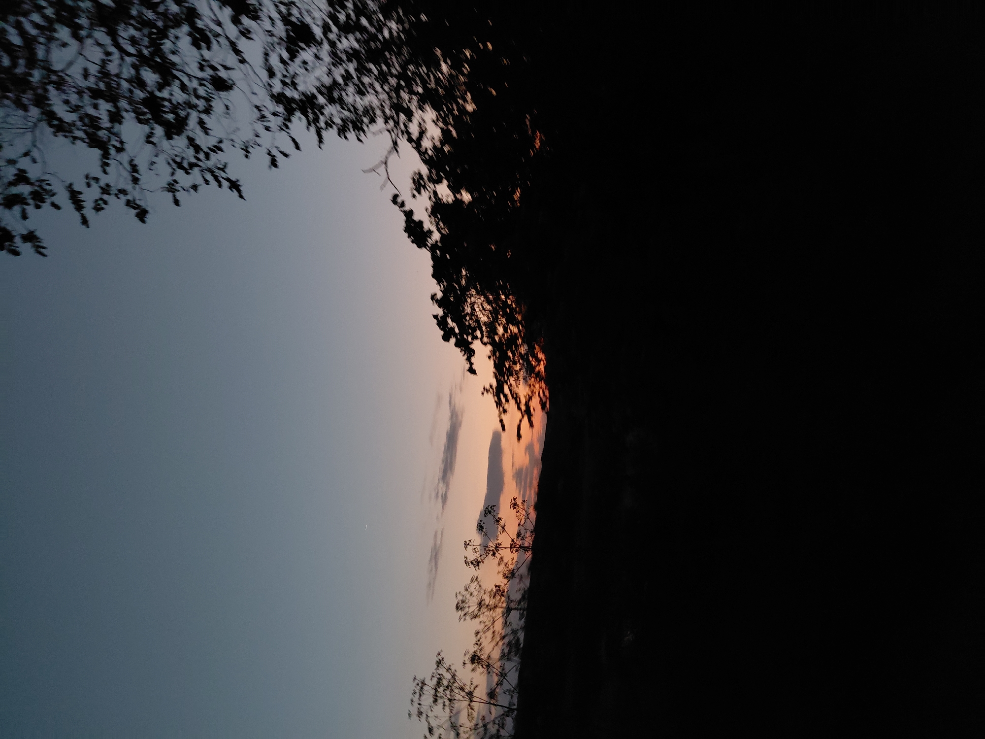 The image depicts a twilight scene of a natural landscape. The sky transitions from a light blue at the top to hues of orange and pink near the horizon, indicating sunset or sunrise. Wispy clouds are visible. Silhouetted against the colorful sky are trees and vegetation, creating a dark foreground. The overall impression is one of natural beauty and tranquility at dusk. The location is identified as Ustyvytsia, Ukraine.