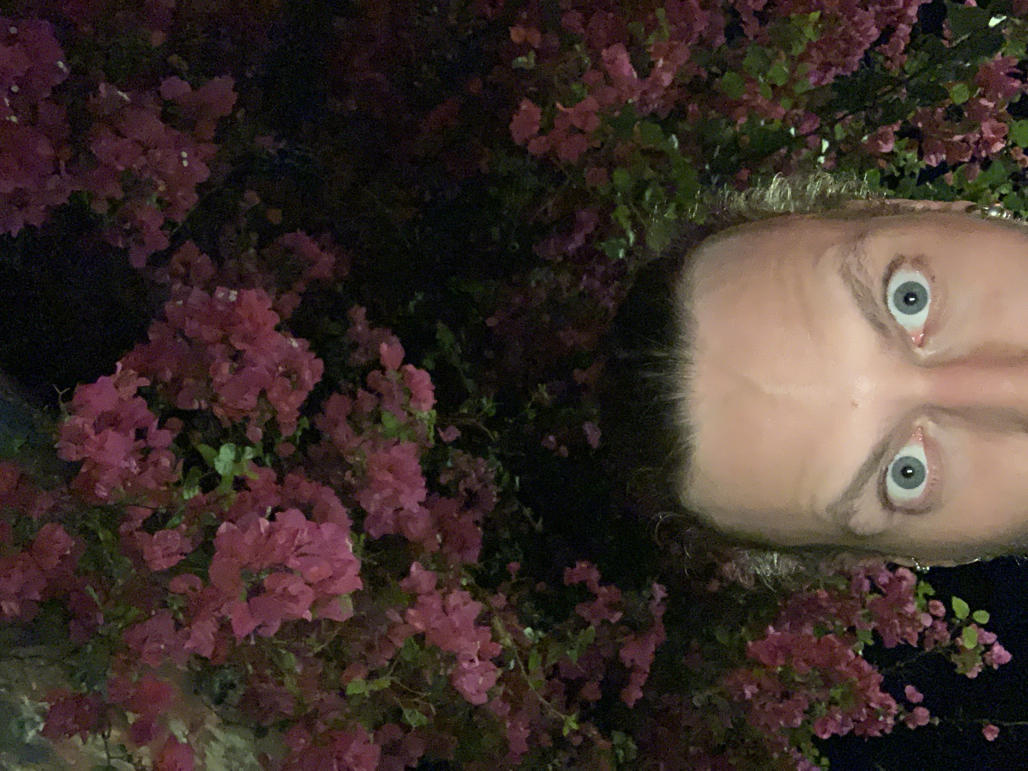 The image shows a person's face, specifically the forehead and eyes, surrounded by pink flowers and greenery. The background is dark, suggesting nighttime. While the image has some natural elements, it's difficult to conclusively identify a specific location in Tel-Aviv, Israel without further context.