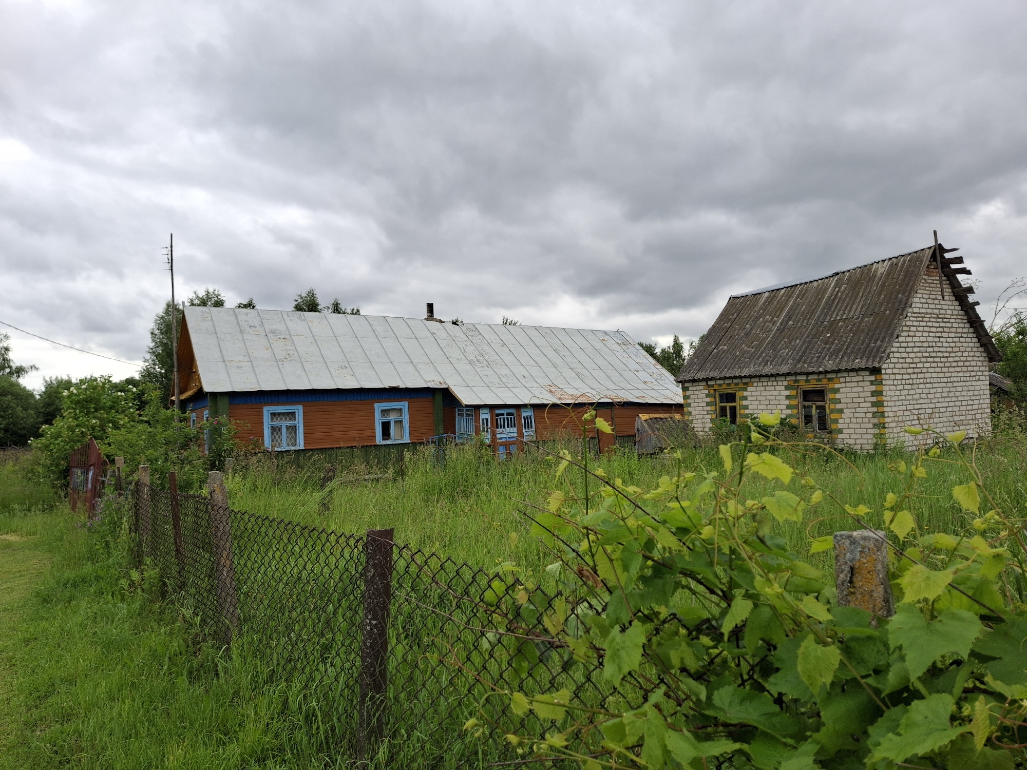 This is a medium-shot, eye-level, outdoor, daytime, full-color photograph of two rural houses situated in what appears to be the Дубровенскі сельскі Савет, Belarus. The sky is overcast with dense, grey clouds. In the foreground, a chain-link fence with rusted metal posts and concrete supports runs diagonally across the image from the lower left to the lower right. Lush green grass and foliage, including a large leafy vine in the lower right, obscure the lower portion of the fence.
To the left, a traditional wooden house with orange siding and a light-colored metal roof with visible patches of rust is partially visible. It features blue window frames with intricate lattice patterns. Behind this house, a red metal gate is leaning open amongst dense green foliage. A utility pole stands to the left of this house.
To the right, a smaller, single-story house constructed of light-colored brick with yellow and green horizontal decorative bands is visible. This house has a steeply pitched, aged, grey corrugated roof and a simple wooden ladder leaning against its gable end. The windows of this house are boarded up or broken. The area surrounding both houses is covered in tall, overgrown green grass, indicating a rural or semi-abandoned setting. The overall impression is one of a somewhat neglected, rustic rural environment.