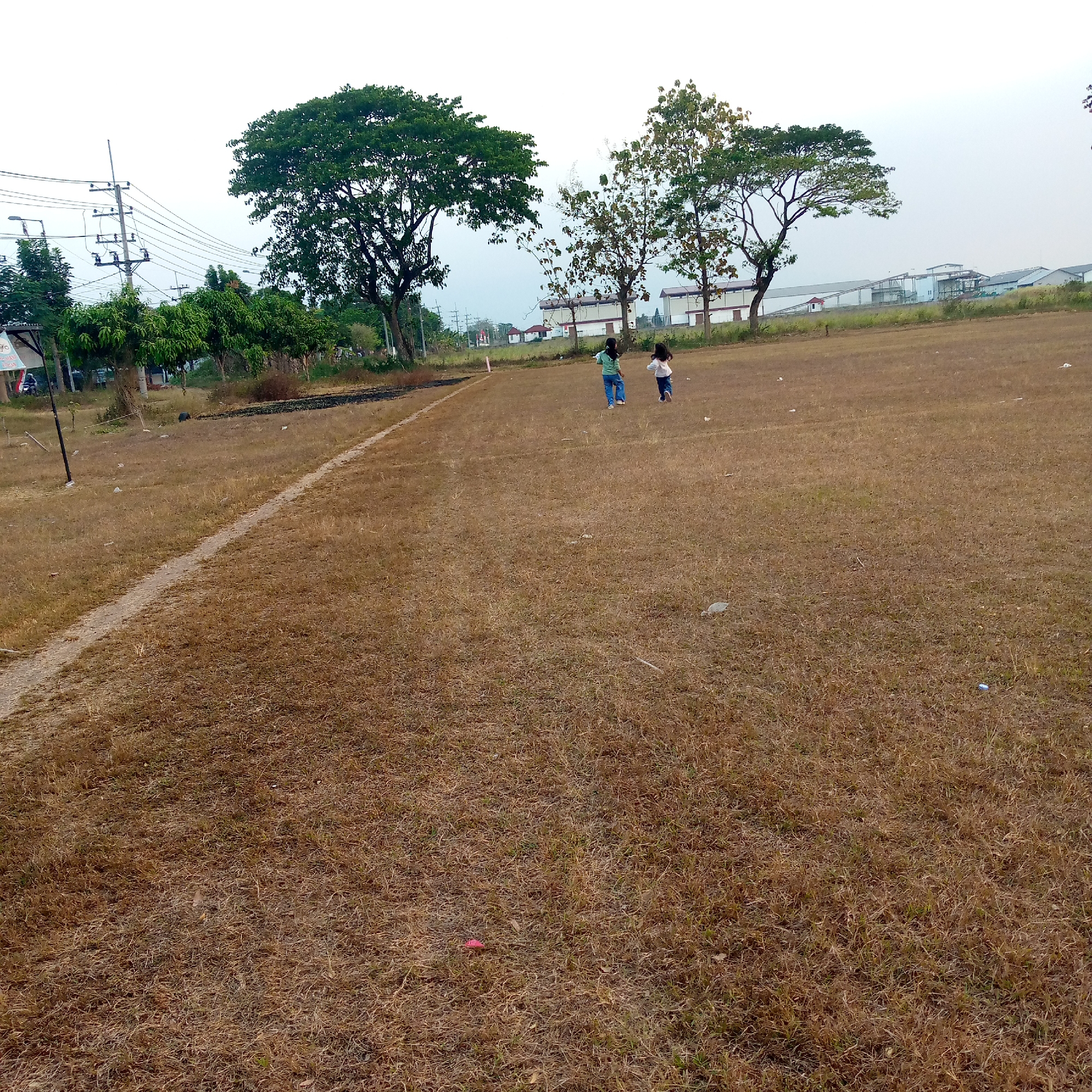The image shows a dry, grassy field in Pacing, Indonesia. Two young individuals, a female wearing a blue shirt and jeans and another female wearing a white shirt and pink pants, are walking away from the camera in the middle ground. To the left of the image, there are several tall trees and some power lines. In the background, there are buildings that appear to be industrial or commercial structures. The sky is overcast. The overall scene suggests an outdoor recreational or open space area.