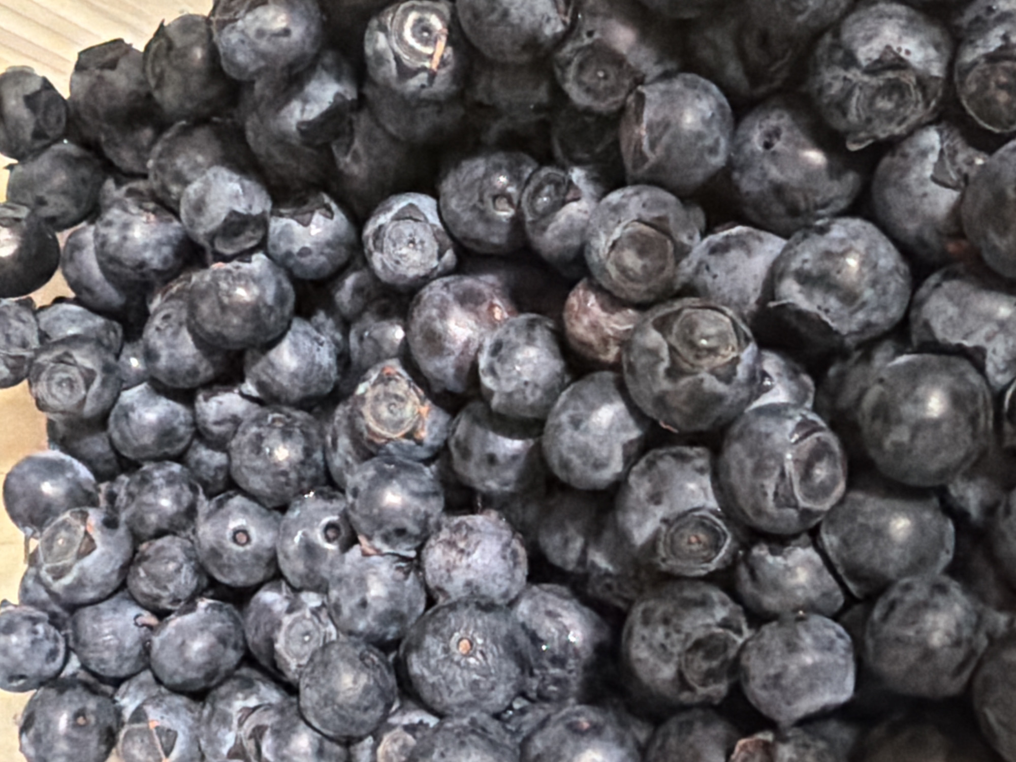 A close-up, overhead shot captures a dense collection of ripe blueberries. The berries are plump and round, with a deep blue-purple hue. Their surfaces display a subtle bloom, indicating freshness, and some exhibit small indentations or slight imperfections. The arrangement is haphazard, with berries overlapping and nestled against each other, creating a textured and slightly uneven surface. The lighting is diffuse, highlighting the roundness of the fruit and casting soft shadows. The background is out of focus, but appears to be a light-colored surface, possibly wood or a container. No specific location within a city or state is identifiable in the image.