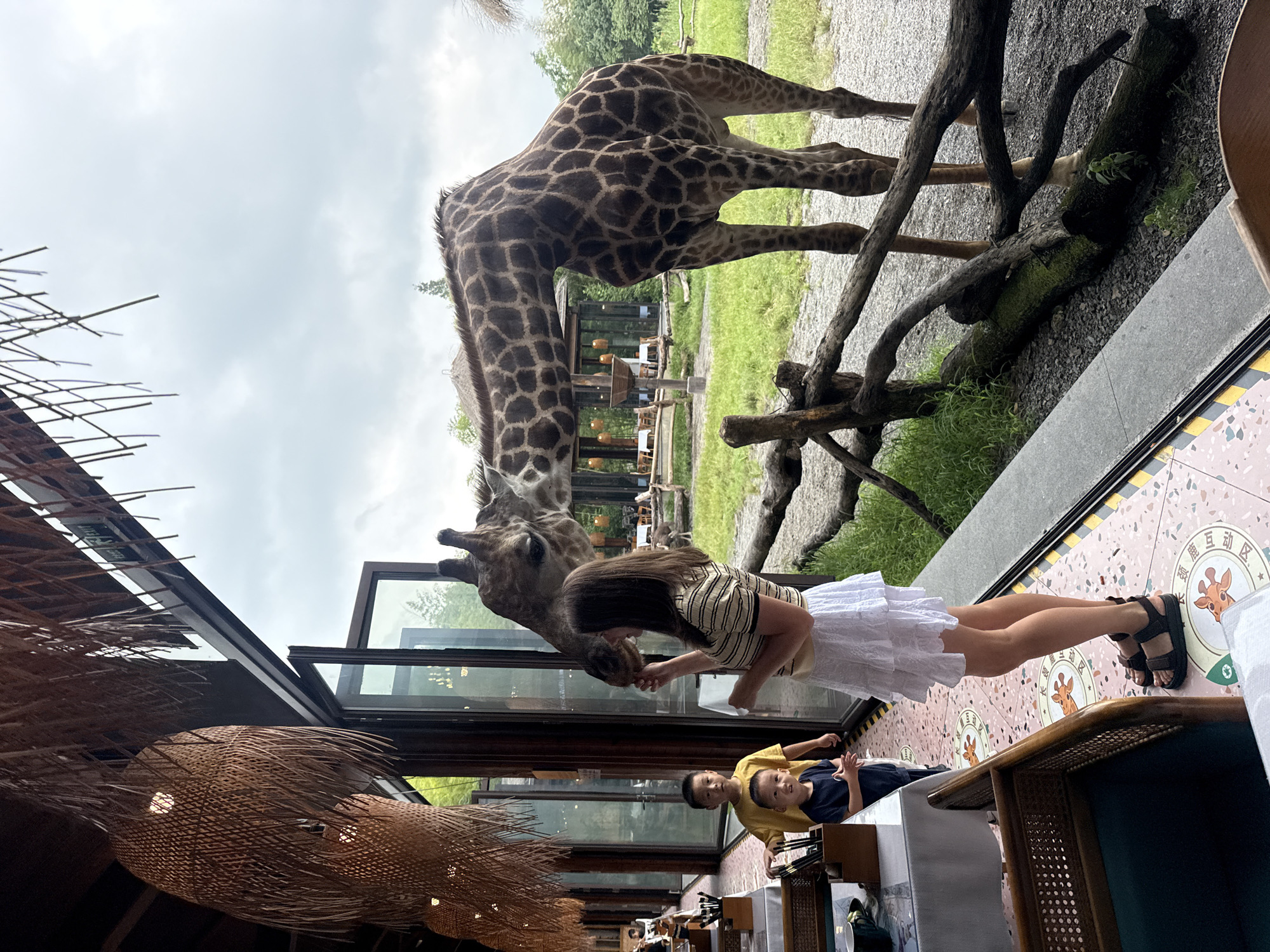 In the city of Wuxing District, China, an outdoor seating area of a restaurant adjacent to a giraffe enclosure features a woman interacting with a giraffe. The woman, wearing a striped short-sleeved shirt and a white ruffled skirt, stands near an open glass door, offering food to the giraffe, which leans its head in to accept it. To her left, two young boys are observing the scene. The older boy, in a yellow t-shirt, stands behind the younger boy, who wears a dark blue shirt and appears to be clapping. The restaurant interior, visible through the glass doors, shows tables and chairs. Outside, the giraffe is standing behind a rustic wooden fence. The environment is characterized by greenery, a cloudy sky, and woven light fixtures hanging from the restaurant's ceiling. The ground is a mix of gravel and decorative tiled flooring with giraffe motifs.