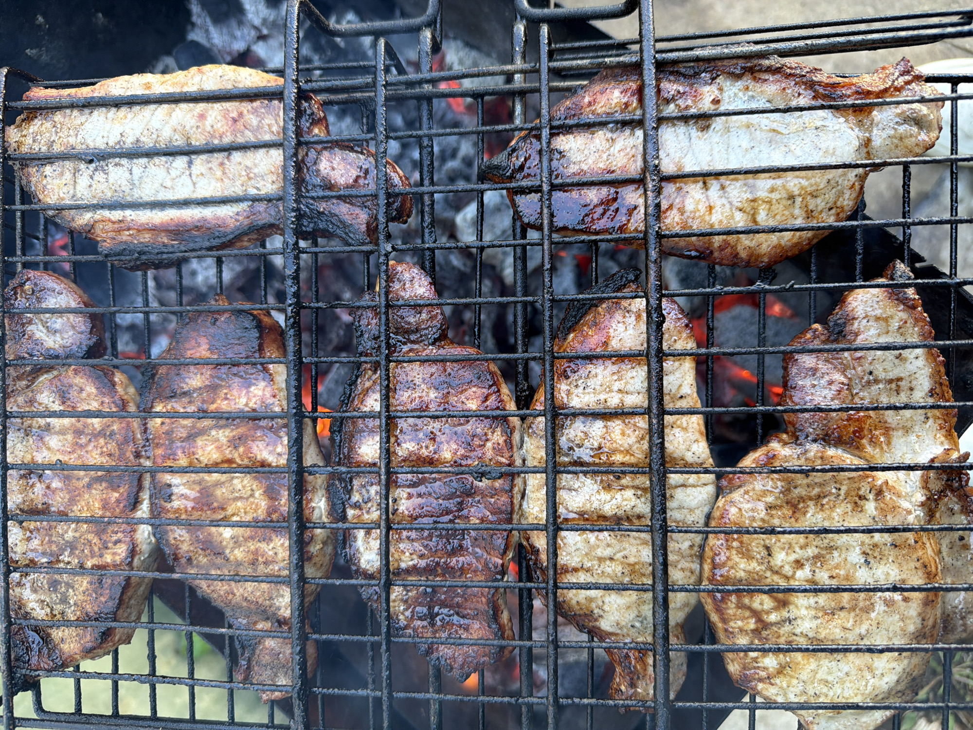 The image shows a close-up view of several pieces of meat grilling on a barbecue grill. The grill is made of metal bars, and the meat pieces are placed directly on top of it. Some of the meat pieces appear to be more cooked than others, with some having a darker, more charred appearance. There are hot coals visible beneath the grill, providing the heat for cooking. Smoke is rising from the grill, indicating that the meat is actively being cooked.
The information provided is insufficient to assess a specific location in Фоки, Russia.