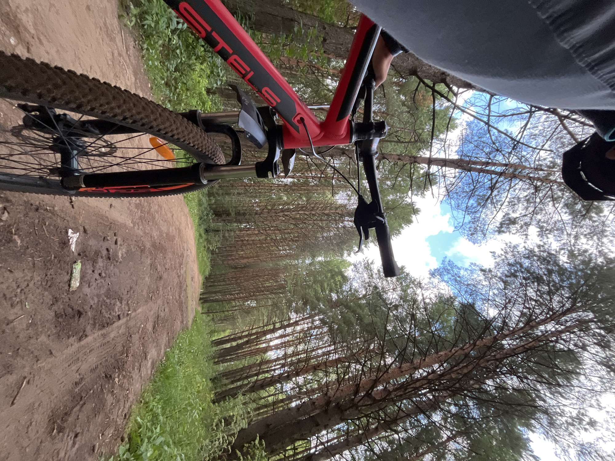 A first-person perspective shot captures a red mountain bike on a dirt path through a pine forest. The rider's legs, clad in grey pants, are visible at the top left. The bike, with "STELS" branding on the frame, is the primary subject, its front wheel and handlebars in focus. The path ahead is a dirt road, slightly muddy in places, winding through tall, dense pine trees. Lush green foliage lines the right side of the path. The sky above is partly cloudy with patches of blue. The scene is located on a recreational trail, likely within the city of Chaikovsky, Russia, given the context.