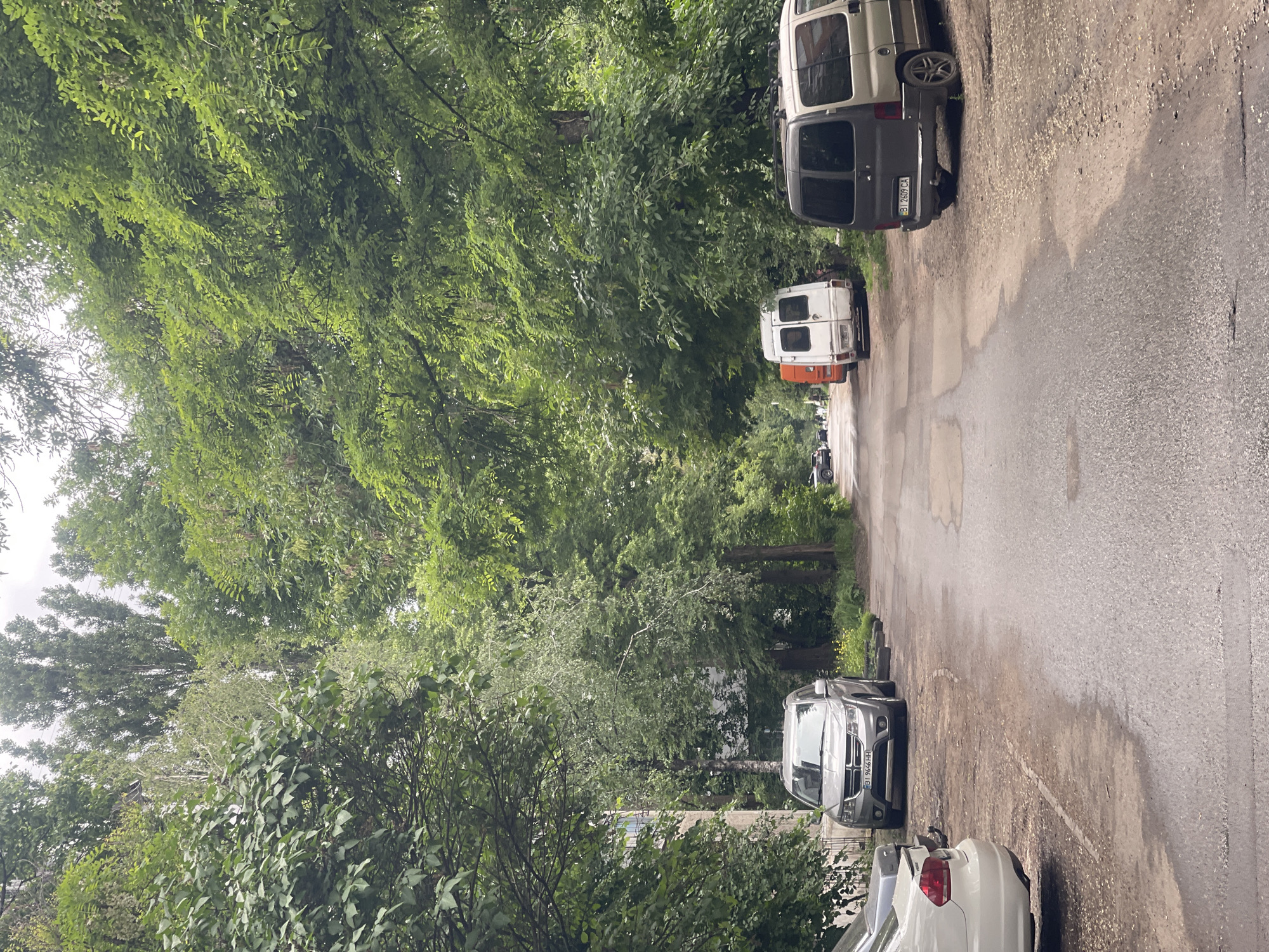The image captures a daytime scene along a narrow, tree-lined road or alleyway. The road surface is asphalt, which appears wet and reflective in patches, suggesting recent rain. On both sides of the road, dense green foliage, primarily trees and bushes, forms a thick canopy overhead, creating a somewhat enclosed and verdant environment.
Several vehicles are parked along the right side of the road, which has a dirt and gravel shoulder. In the foreground, parts of a white car are visible, followed by a silver Dodge Journey SUV with the license plate "HH 9796 EB". Further down the road, three vans are parked: a dark grey van with the license plate "BI 2689 CA", followed by a white van with an orange rear bumper, and another white van in the distance. The dense vegetation and parked cars give the impression of a quiet residential or semi-rural setting. No people or specific activities are visible. The sky is largely obscured by the tree canopy, but the overall lighting indicates daylight, possibly under overcast conditions.