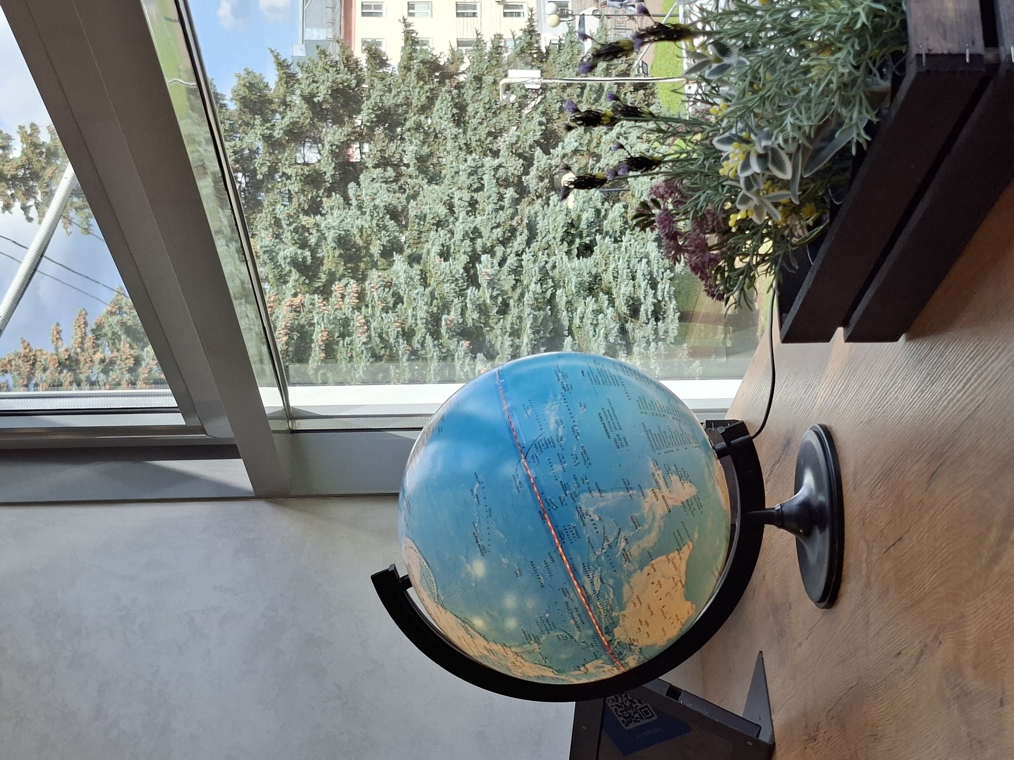 The image depicts a close-up of a globe on a wooden desk next to a window. Through the window, a large evergreen tree is visible, obscuring parts of buildings in the background. A planter box filled with green and purple flowers sits in front of the window. The globe shows geographical features and text in Russian. The environment appears to be an indoor space with a textured grey wall. There are no people visible in the frame. The scene is static and offers no information about the city of Izhevsk, Russia, or any specific location within it.