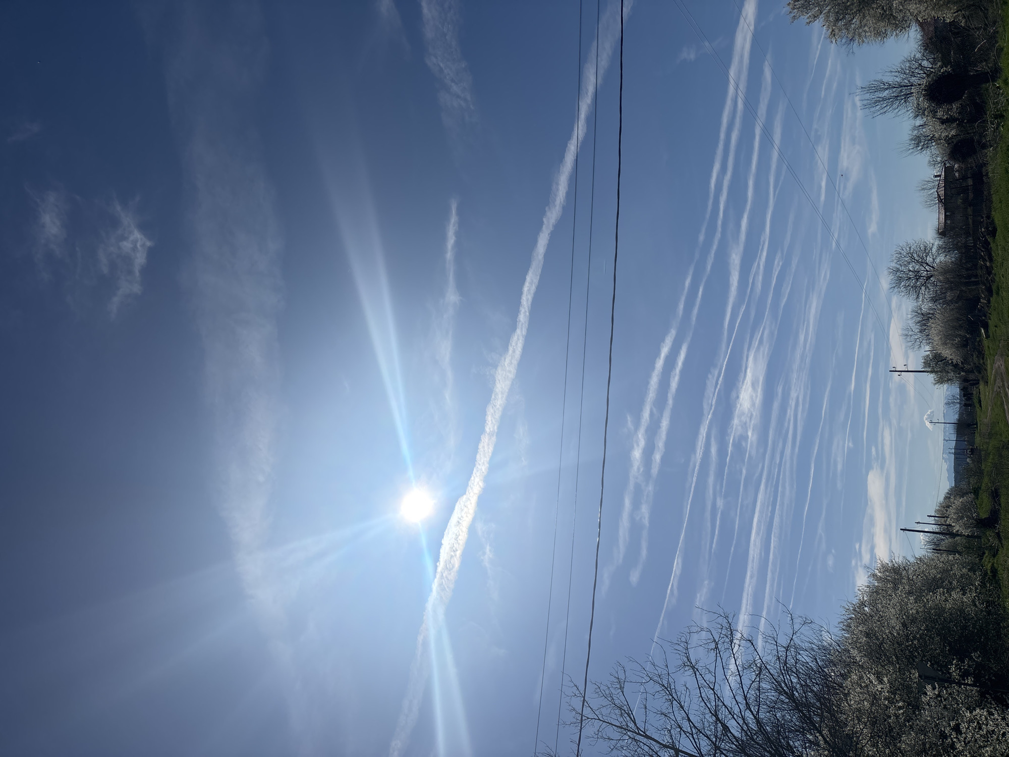 The image shows a clear blue sky with numerous contrails streaking across it. The sun is shining brightly, creating a lens flare effect. In the lower portion of the image, there are trees, some with bare branches and others blossoming with white flowers. Power lines run across the sky. The image was taken in Lehchevo, Bulgaria.