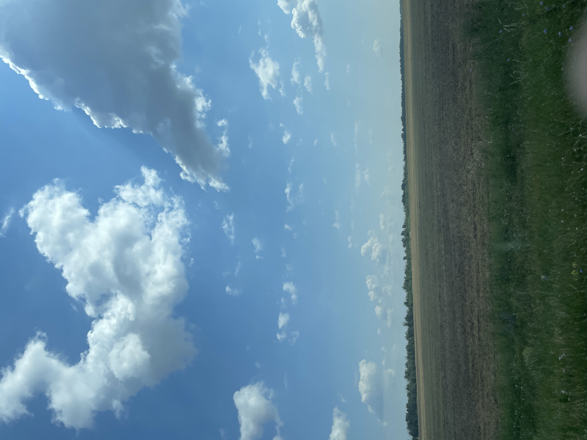 The image depicts a vast, open field under a bright blue sky dotted with fluffy white clouds. The field in the foreground is a mixture of dark, tilled soil and green grass with scattered small flowers. In the mid-ground, a brown, sparsely vegetated field stretches towards the horizon, where a line of trees forms a distant border. The sky is a dominant element, with large, billowy clouds and shafts of sunlight breaking through. There are no people or man-made structures visible in the image. The overall impression is one of a rural, agricultural landscape. The location is specified as Proletarskii, Russia, suggesting a scene typical of the Russian countryside during a sunny day.