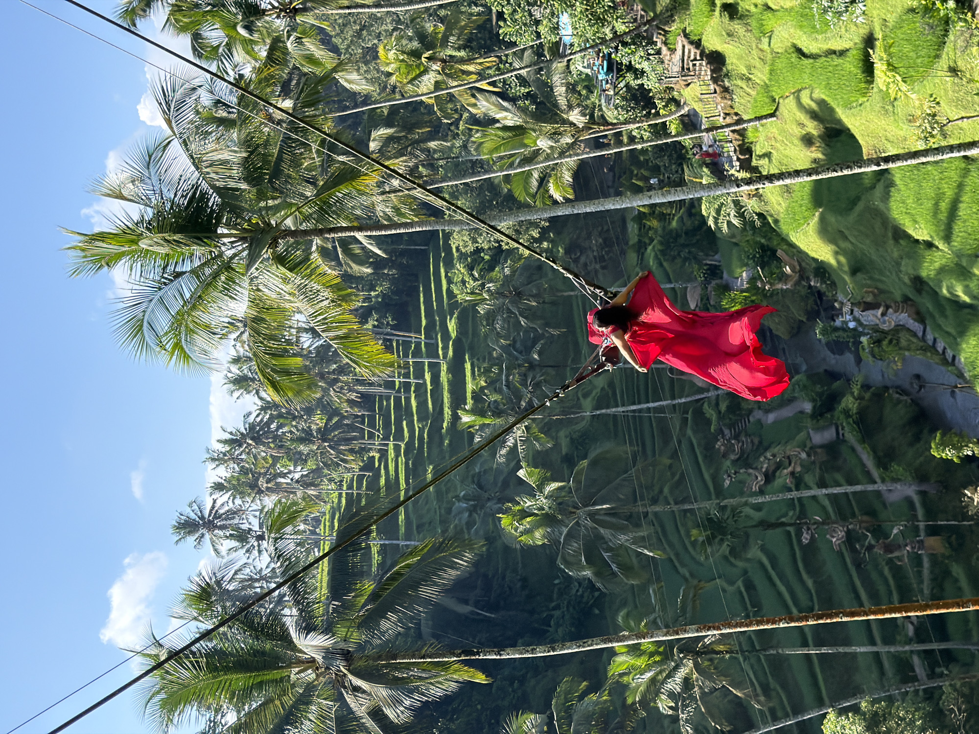 In Tegallalang, Indonesia, a person in a flowing red dress is swinging on a large swing. The swing is suspended by thick ropes between two tall poles, with the person positioned centrally in the frame. They are viewed from behind, with their arms raised and their head tilted back. The swing itself is a simple seat with ropes attached.
The background is dominated by lush, vibrant green rice terraces that cascade down a hillside, typical of the Tegallalang landscape. Numerous palm trees with their characteristic fronds are scattered throughout the scene, some reaching high into the bright blue sky dotted with white clouds. In the mid-ground, a path with railings winds its way through the rice terraces, and further in the distance, a few people are visible near a structure. The overall environment suggests a tropical, scenic location.