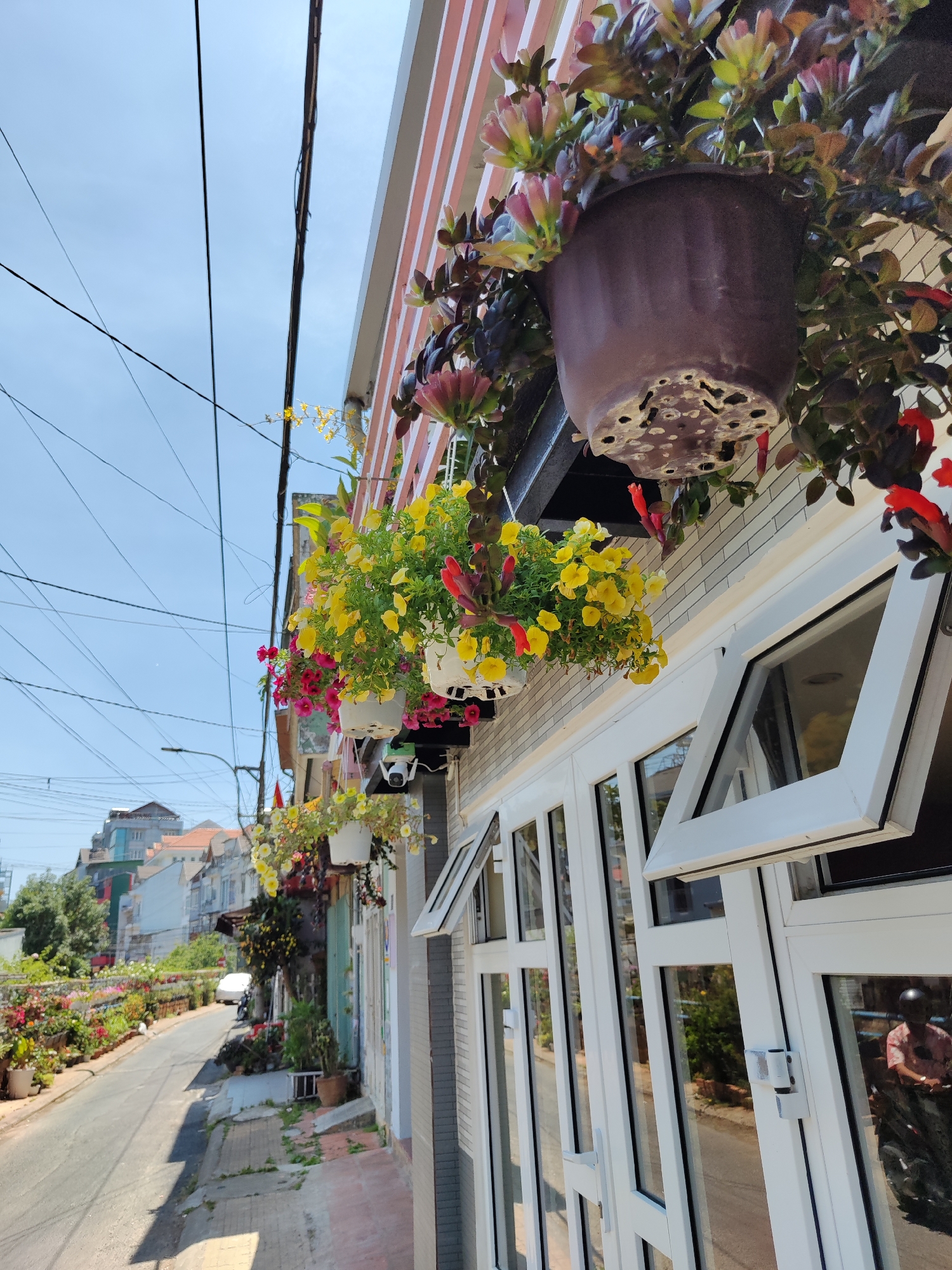 The scene is a street in the city of Cam Ly - Đà Lạt, Vietnam. The perspective is from the sidewalk, looking down a slight incline of an asphalt road lined with buildings. Along the road's left side, a variety of potted plants and flowers add vibrant color to the streetscape.
The focal point is a building to the right, adorned with hanging flower baskets. The building has white-framed, multi-pane windows, some of which are open. The walls are a mix of white brick and painted stripes of red and white. In the reflection of the windows, a person wearing a helmet can be seen. Overhead, power lines crisscross against a light blue sky.