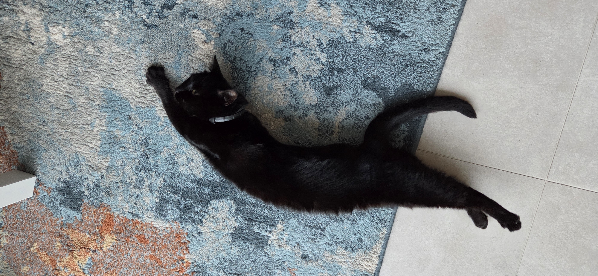 A black cat is lying on its side on a rug with a blue and white abstract pattern. The cat is stretching its body and appears to be playing. Its eyes are open, and its mouth is slightly open, as if it is meowing. The rug is on a tiled floor. There is a white table leg in the top left corner of the image. The image was taken indoors in a room in the city of Eeklo, Belgium.