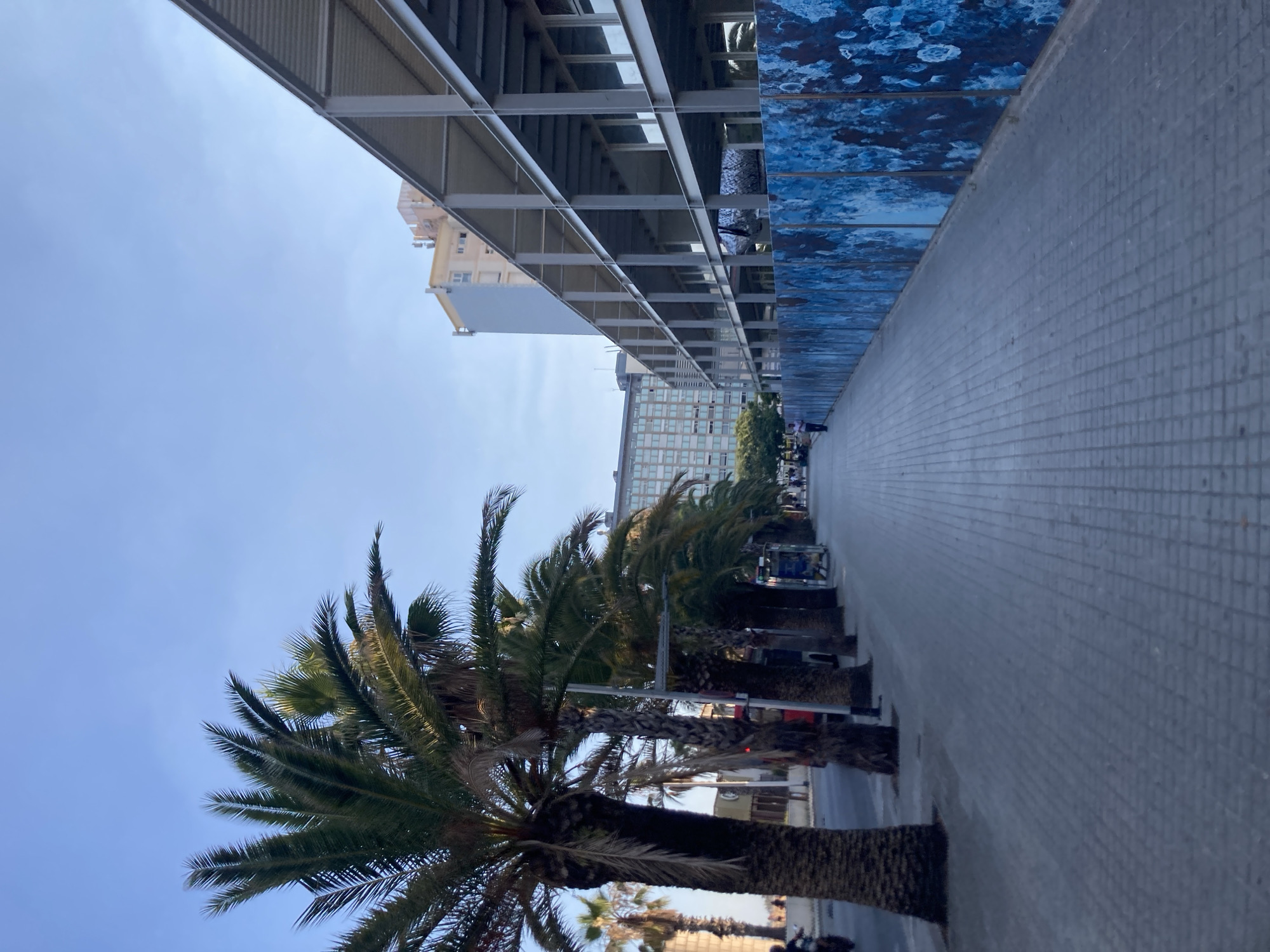 This media file depicts a street scene in Barcelona, Spain, characterized by a clear blue sky and bright daylight, suggesting a sunny day. The foreground is dominated by a large palm tree, its fronds extending upwards. To the right, a tiled pedestrian walkway runs along a building with a modern facade featuring blue, textured panels. Beyond this, a row of palm trees lines the street, with buildings visible in the background. One building appears to be a multi-story structure with many windows. In the distance, a few people are visible, and some vehicles are parked along the street. The image is shot from a low angle, looking up towards the sky and the structures. There is no discernible text within the image. The overall atmosphere is relaxed and suggestive of an urban environment in a warm climate.