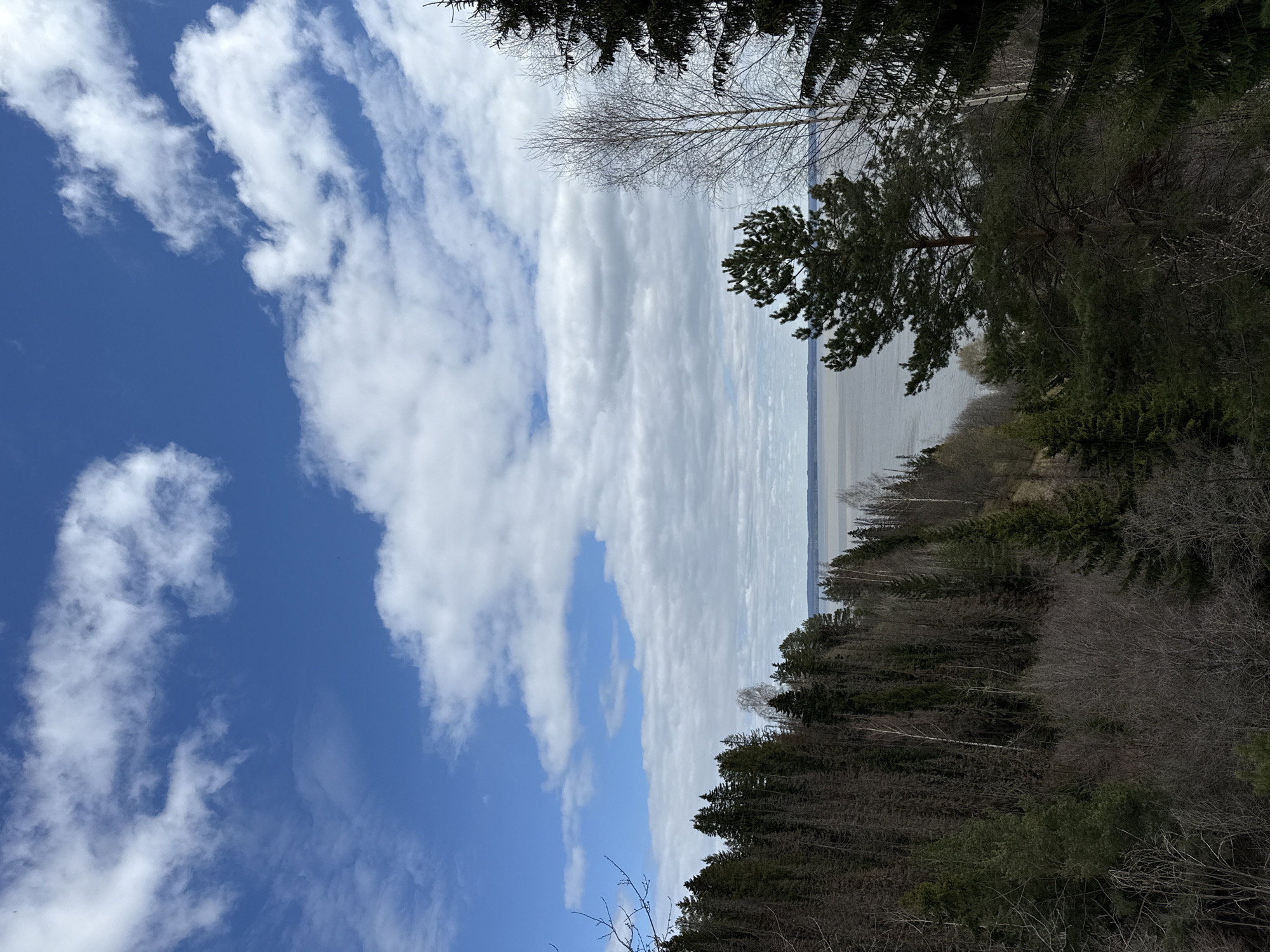 The image depicts a landscape view, potentially from a vantage point in Галево, Russia, characterized by a sharp division between the sky and a forest/body of water. On the left, a blue sky with scattered white clouds occupies a substantial portion of the frame. To the right, a line of trees with varying shades of green and brown delineates the horizon. A body of water can be seen beyond the trees, possibly a river or lake, blending in with the cloud cover. The tree line is mostly dense, with some bare branches visible. The image seems to have been taken during a transitional season, perhaps early spring or late autumn.