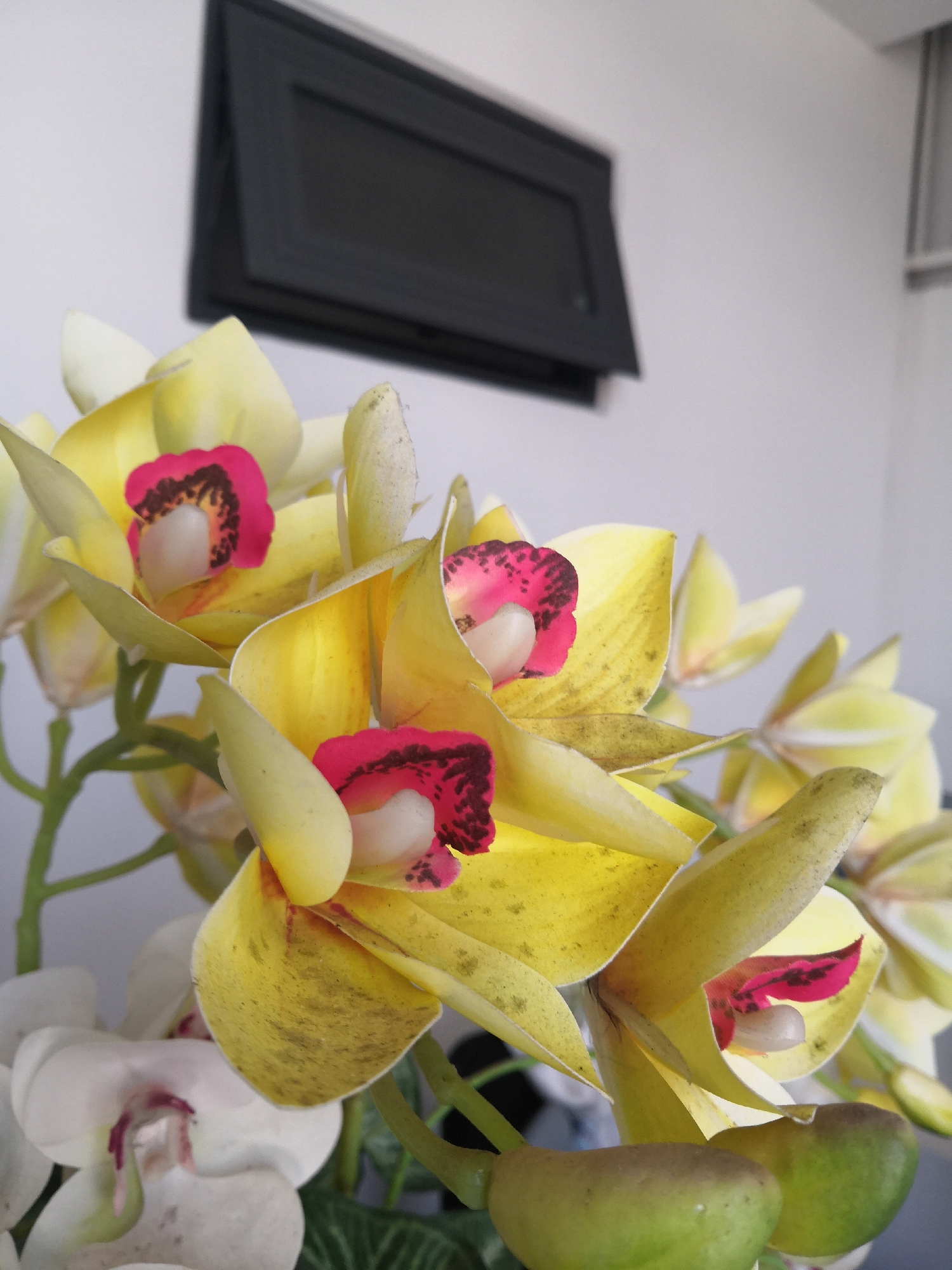 A close-up shot depicts a cluster of yellow and white orchids. The yellow orchids have a pink and speckled center. The petals show some signs of wear with brown marks. Green buds are visible at the bottom of the flower arrangement. In the blurred background, a black rectangular object hangs on a white wall. The image was taken in the city of Bac Nha Trang Ward, Vietnam.