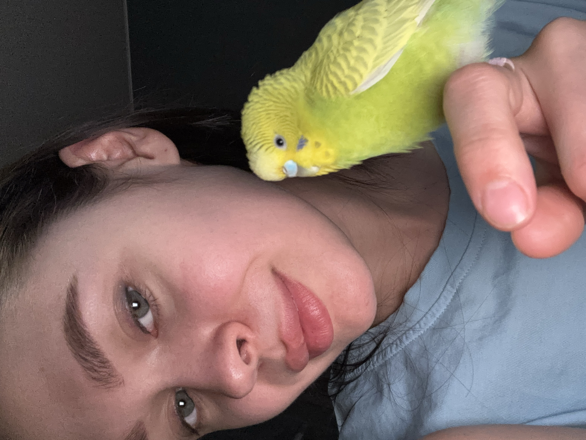 A woman with dark hair is lying down, looking at the camera. A yellow parakeet is perched on her head near her ear, with her finger near the parakeet. The woman is wearing a light blue shirt. The background appears dark. The city of Chaikovsky, Russia, is not depicted in the image.