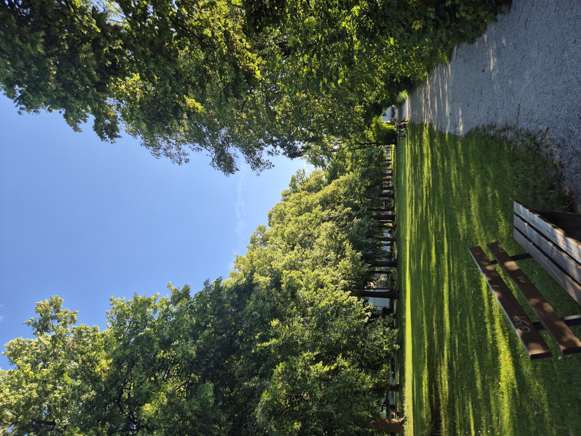 A park scene in Landshut, Germany, features a sunlit path curving through a row of tall trees. On the left, a manicured lawn is dappled with shadows from the trees. In the foreground, a wooden park bench sits on the grass. The path, made of gravel, is bordered by dense foliage on the right. In the distance, two individuals and a bicycle are visible on the path, suggesting a peaceful recreational area. The sky is a clear, bright blue.