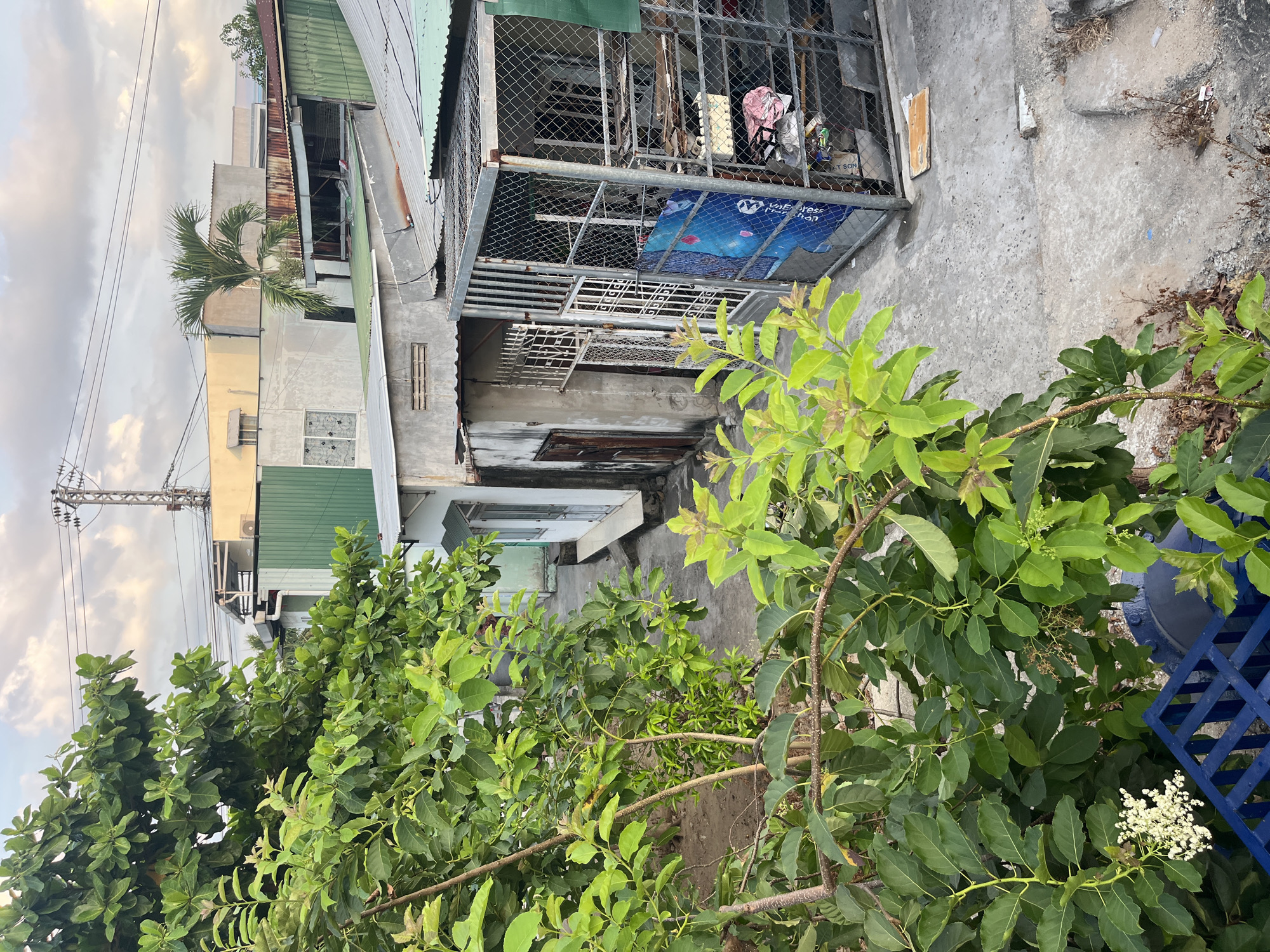 This image depicts a narrow alleyway in Nha Trang Ward, Vietnam, viewed from a slightly elevated perspective. The alley is flanked by buildings constructed of concrete and corrugated metal, some displaying signs of aging and wear. One building has a caged balcony containing various items, including what appears to be a poster and some belongings. A concrete walkway runs along the alley, showing some signs of debris and weathering. Lush green foliage, consisting of trees and bushes, fills much of the foreground, partially obscuring the view of the alley. Overhead, power lines are visible against a backdrop of a cloudy sky. The overall impression is of a dense urban environment with a mixture of residential and potentially commercial activity. A blue crate is partially visible in the lower right corner.