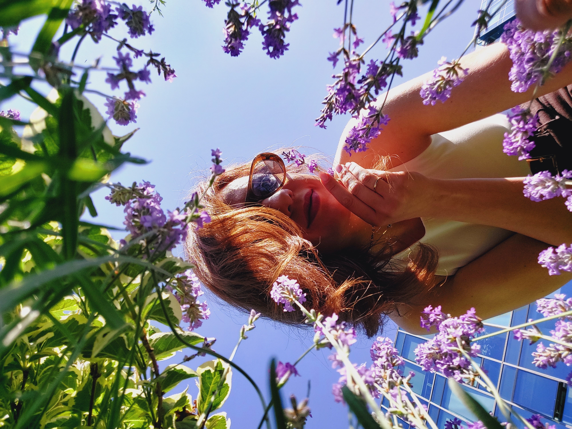 The image shows a low-angle shot of a woman lying on her back, looking up at the sky. She has reddish-brown hair, is wearing sunglasses, and has her hands near her face. She is surrounded by lavender flowers, with a clear blue sky above and a modern building with blue windows in the background. The scene suggests a sunny day, likely in the late morning or afternoon given the bright lighting. The woman appears relaxed and possibly enjoying the flowers or the view. The building in the background, with its glass facade, suggests an urban or semi-urban setting. The overall mood is serene and summery. The provided location context is Sofia, Bulgaria. There is no visible text in the image.