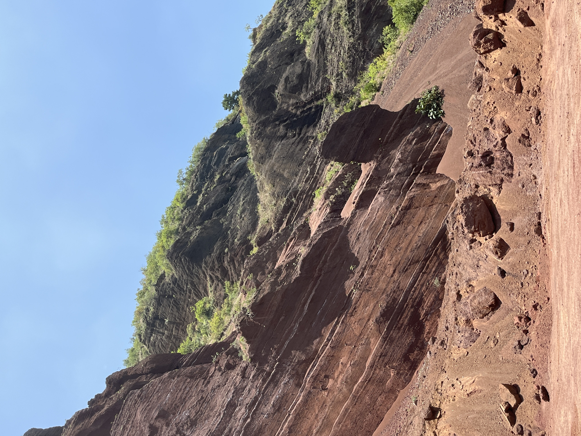 The image depicts a natural landscape of eroded red rock formations and slopes under a clear blue sky. The foreground features loose reddish-brown soil and scattered rocks. Behind this, a steep, layered red rock cliff face dominates the left side of the frame, showing distinct strata. To the right and further back, a darker, more rugged mountainside is visible, covered in patches of green vegetation. A single tree stands atop this darker slope, with another smaller tree visible in the distance on the right. The scene appears to be a natural geological formation, possibly a canyon or hillside, with evidence of erosion and weathering. The location in San Miguel Papaxtla, Mexico, implies a terrestrial environment with arid or semi-arid conditions that would support such rock formations and sparse vegetation. There are no people, animals, or man-made structures clearly visible in the image.