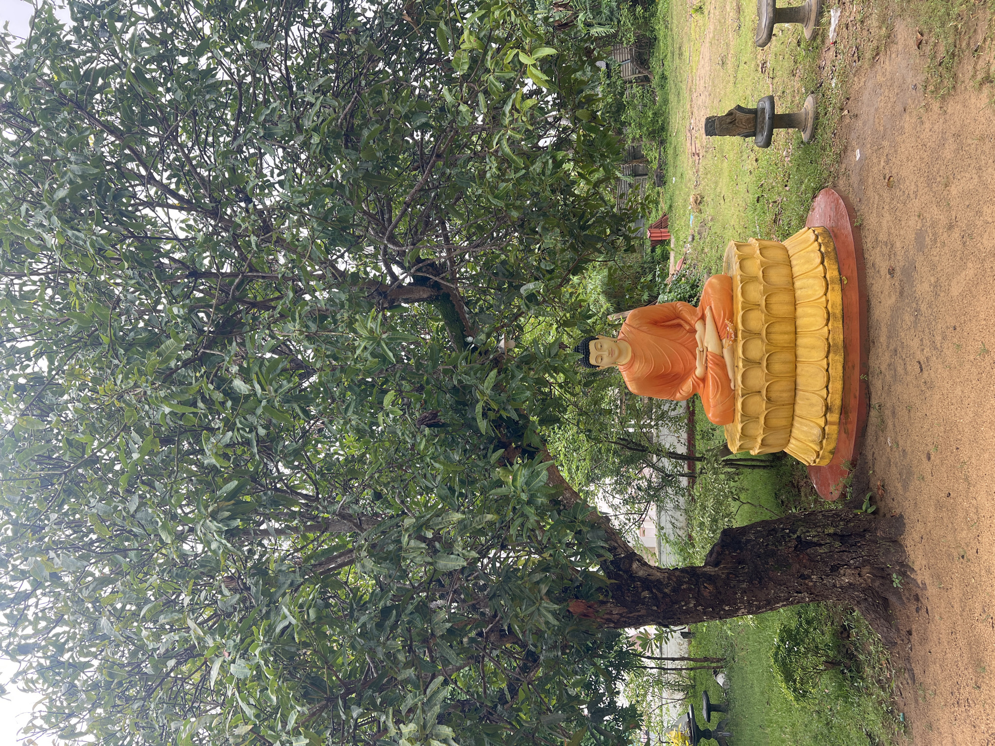 In Boossa, Sri Lanka, a statue of Buddha, adorned in an orange robe, sits in a meditative pose on a gilded lotus pedestal. The statue is positioned beneath the expansive canopy of a large, mature tree with dark, textured bark and a dense covering of green leaves. The ground around the statue is covered in reddish-brown soil. To the left of the Buddha statue, a smaller tree and grassy areas are visible. The background reveals more greenery, a fence, and what appears to be a building with a red roof. To the right of the Buddha statue, two small stone pedestals with carved figures stand on a patch of grass. The overall scene is one of serene outdoor worship.
