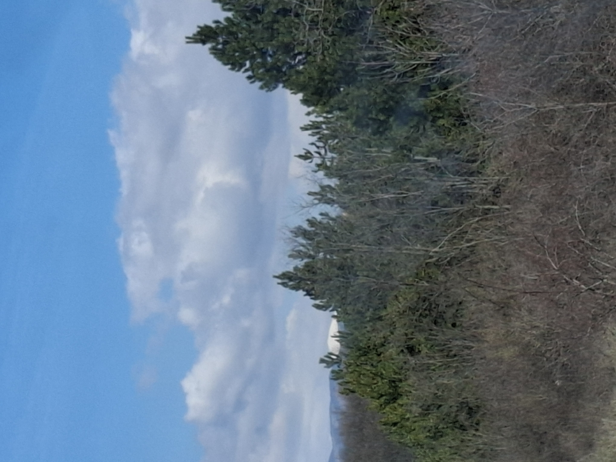 The image shows a landscape with a sky featuring both clear blue areas and cloudy sections. The right side of the image is dominated by a dense area of trees, some with green foliage and others with bare branches. In the distance, there appears to be a snow-capped mountain or structure partially obscured by the trees. The location is Ponor, Bulgaria. No people, actions, or interactions are visible in the image.