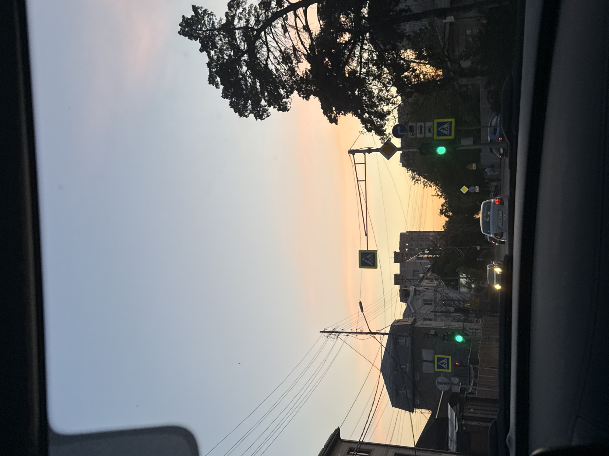The image depicts a street scene from inside a car at dusk. The sky is a blend of pale blue and orange. A silhouette of a large tree is visible in the upper left corner. Street signs, including pedestrian crossing signs, are present. Traffic lights show a green signal. Cars are on the road. Power lines stretch across the sky. Buildings are visible in the background.