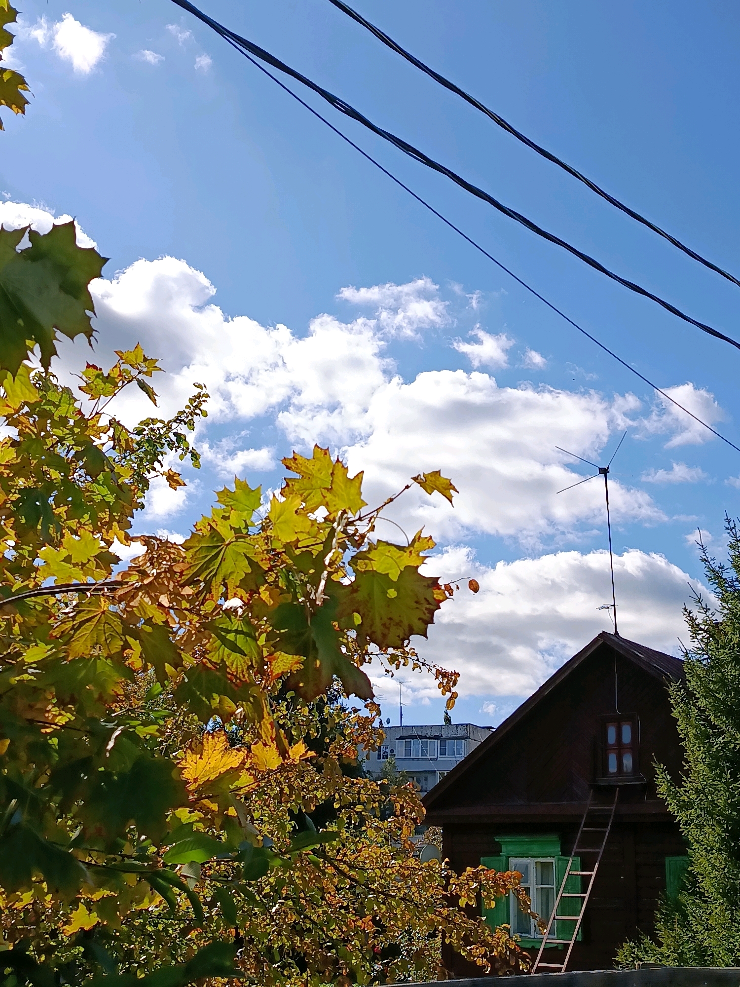 In the city of Vereya, Russia, a rustic wooden house with green shutters and a dark brown roof stands under a bright blue sky dotted with fluffy white clouds. A wooden ladder leans against the side of the house, reaching up to a small dormer window. In the foreground, maple leaves in various stages of autumn color, from green to yellow and brown, frame the scene. Power lines stretch across the top of the image.