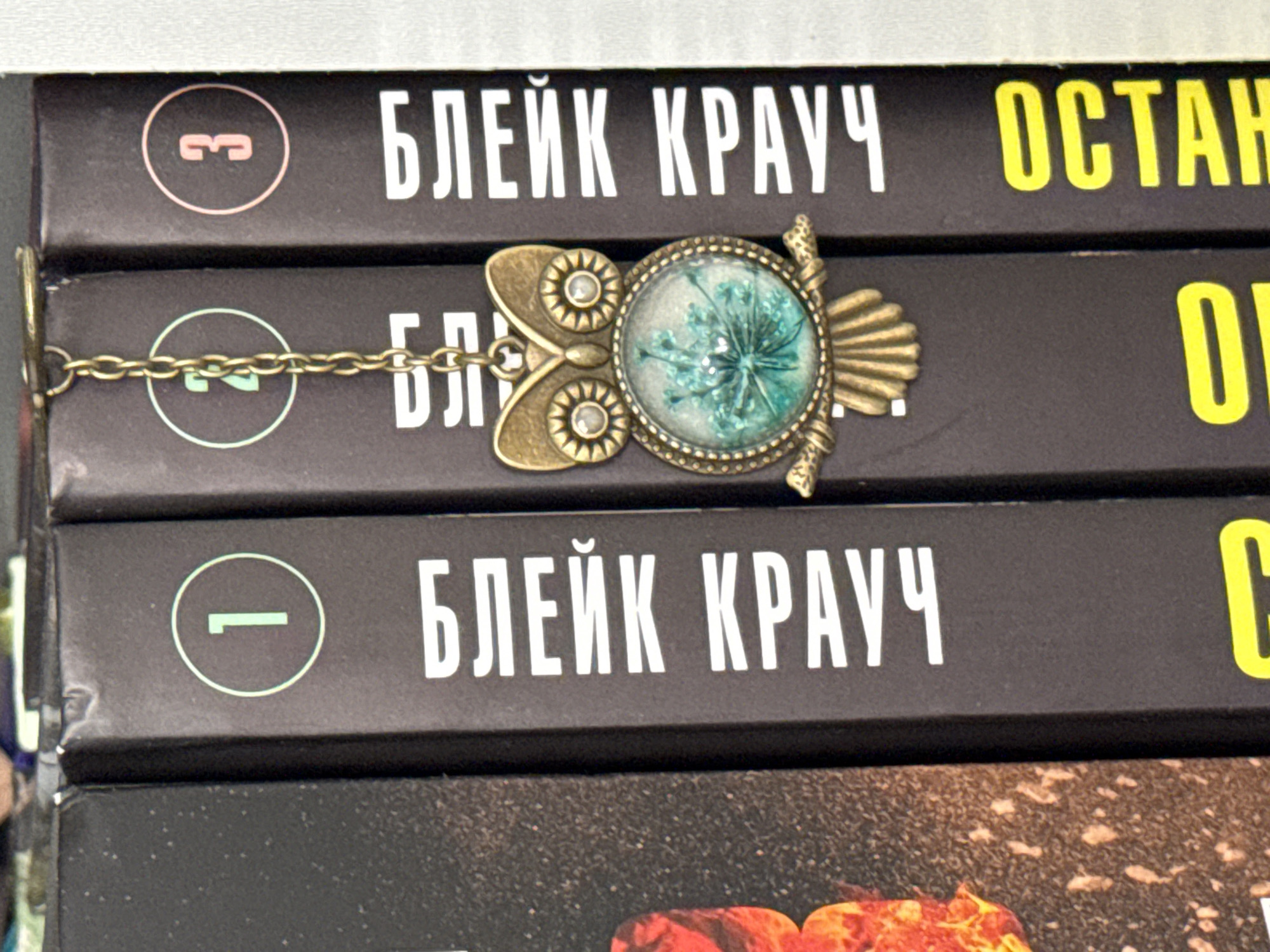 A close-up, eye-level, vertical shot shows the spines of four dark-colored books. The books are arranged from left to right. The first book on the left has a blurry, orange and black speckled cover. The other three books have a consistent dark grey spine with white text and a colored circle containing a number. The second book from the left has a white circle with the number "1" in light green. The third book from the left has a white circle with the number "2" in light green. The fourth book from the left has a white circle with the number "3" in pink. Each of these three books also has white Cyrillic text running vertically down the spine. The third book from the left has a gold-colored owl charm with a round, blue-green, dried flower pendant hanging from a chain attached to the top of the book spine. The owl charm is positioned between the second and third books. There is no identifiable location in the city of Łódź, Poland mentioned or depicted.