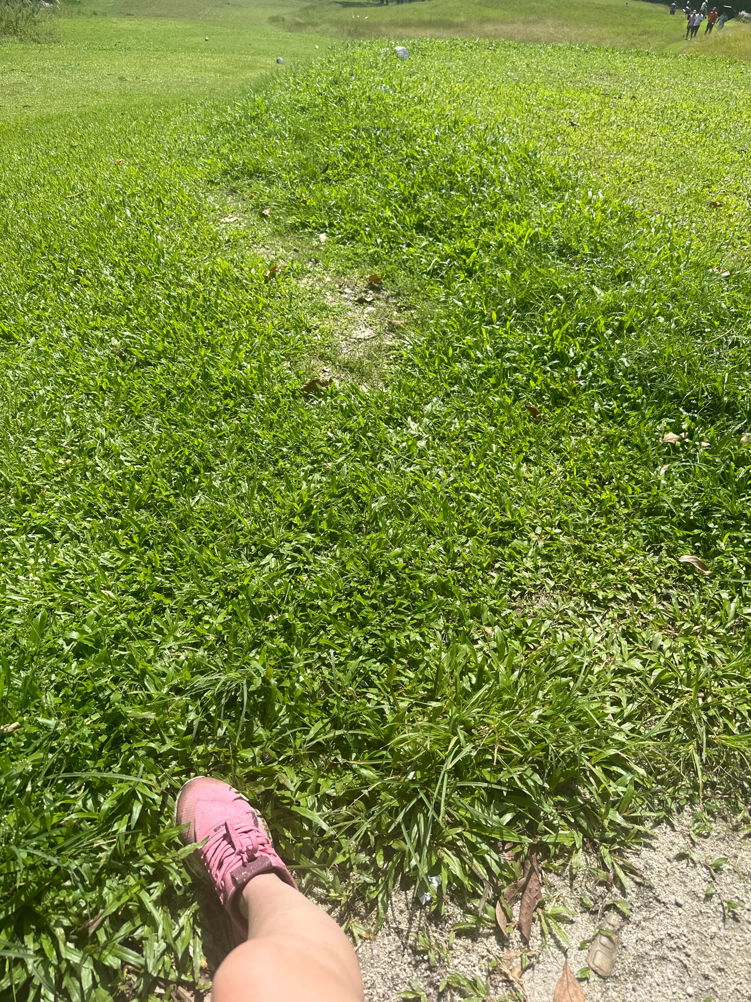 The image shows a close-up view of a person's leg and pink athletic shoe on a patch of vibrant green grass. The shoe appears slightly dirty, with some darker smudges on the laces and side. The grass is dense and well-maintained, with some dry leaves scattered on the ground near the shoe. In the background, a gently sloping grassy field extends into the distance, with a few small white objects that could be golf balls or markers. Further in the background, a group of people in casual attire are visible, some standing and others walking, on what appears to be a golf course or a similar recreational area. The overall lighting suggests a sunny day. The location is identified as Gokarneshwar, Nepal.