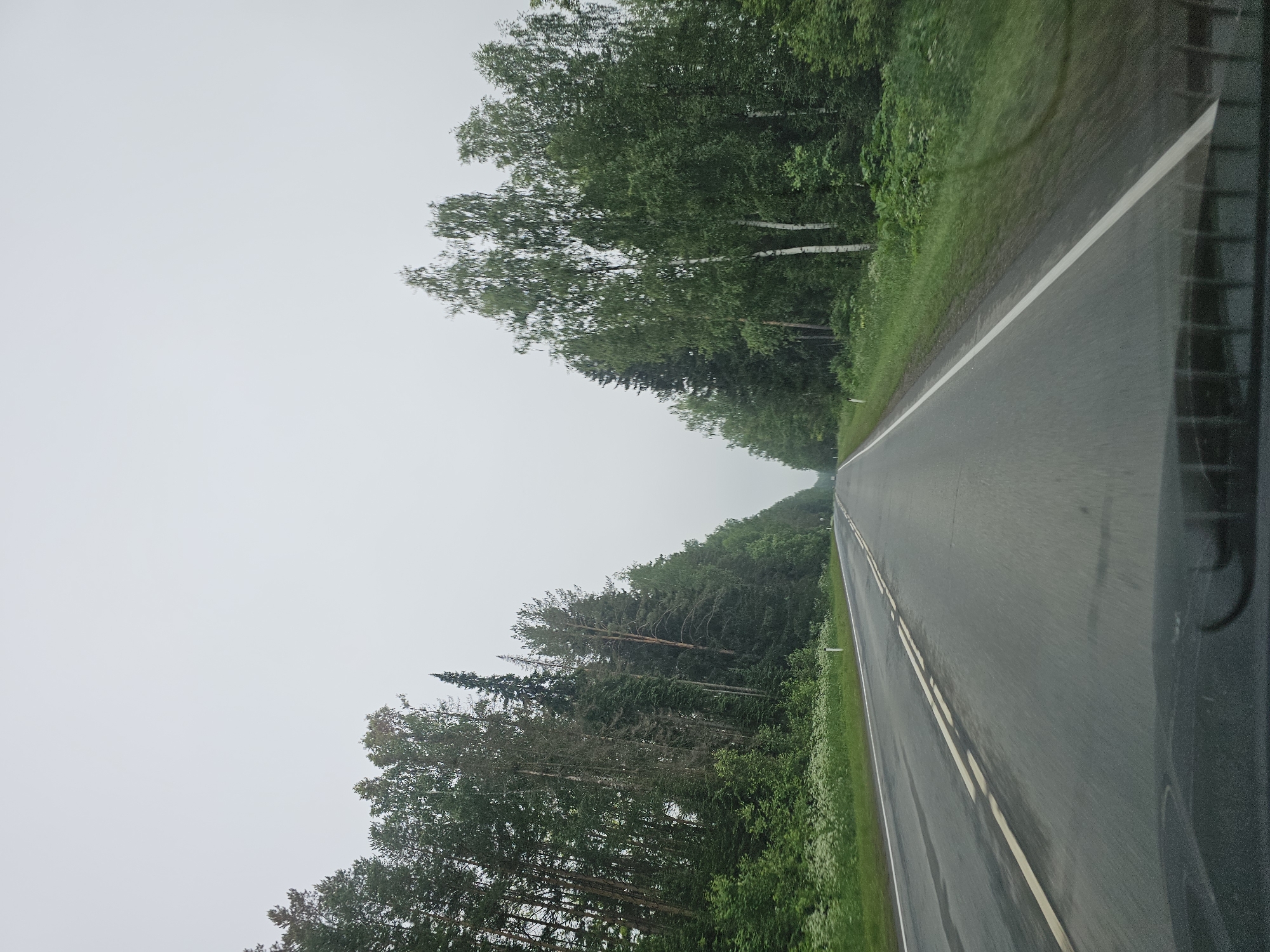 The image depicts a two-lane asphalt road receding into the distance, bordered by dense green forests on both sides. The sky is overcast and light grey, suggesting cloudy or foggy weather. The road surface appears wet, with reflections visible, indicating recent rain or damp conditions. White lane markings are clearly visible, with a double solid white line marking the center. Small white markers are present along the right side of the road. The foreground shows the dashboard of a vehicle, implying the image was taken from the driver's perspective. The trees are predominantly coniferous, with some deciduous trees, including birch trees with their characteristic white bark, interspersed within the forest. The overall scene is one of a rural or wilderness road. The location is identified as Chumna, Russia.