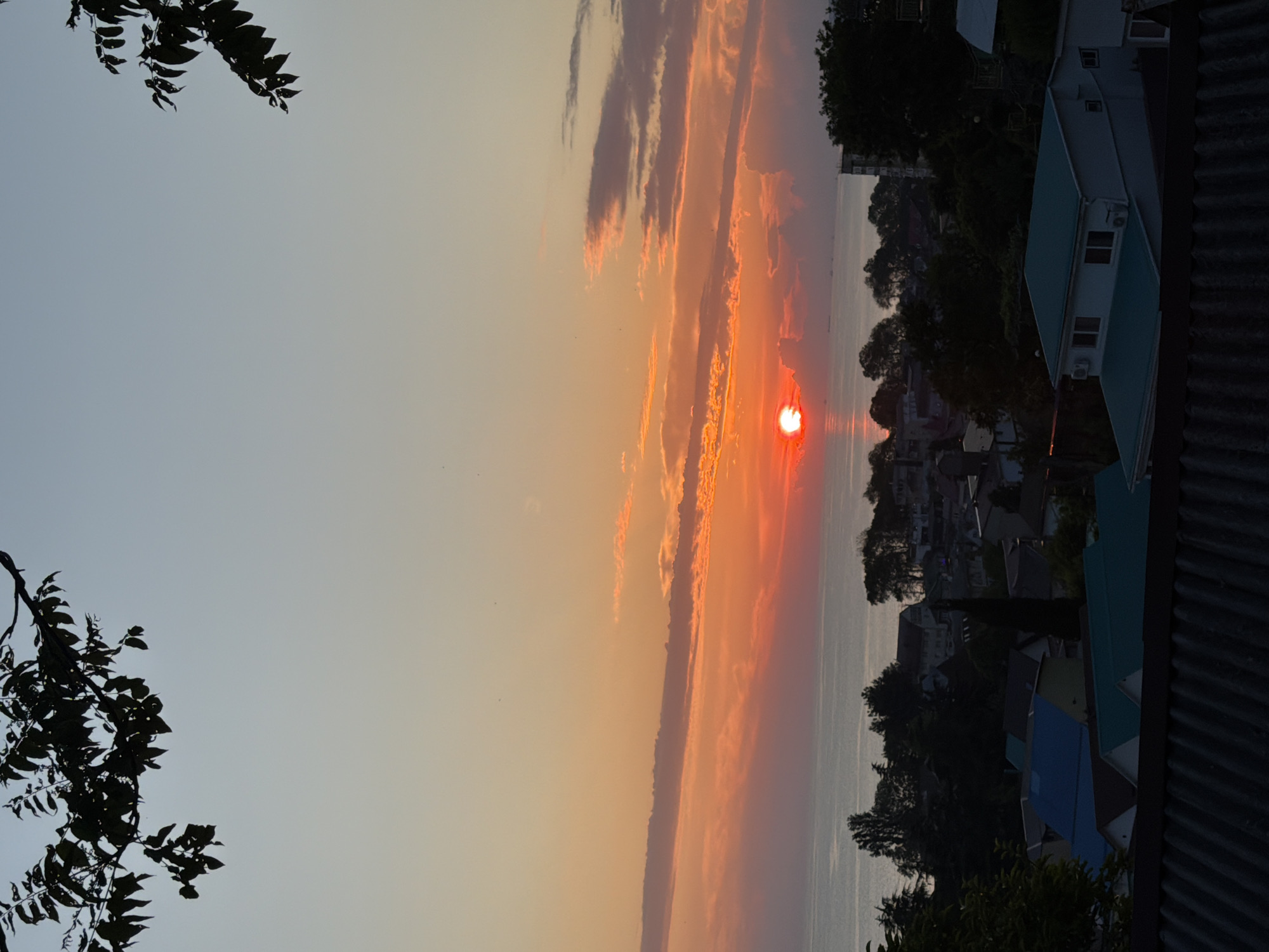 A sunset scene overlooks a coastal city, likely Sochi, Russia, with a view of the Black Sea. The sun, a vibrant red orb, is low on the horizon, casting a warm, orange glow across the sky and reflecting on the calm water. Wispy clouds are tinged with pink and orange. In the foreground, silhouetted tree branches frame the top of the image. Below the sky and sea, a dense cluster of buildings with varied roof colors, including blue, green, and white, are visible. Trees and darker foliage punctuate the landscape. A few ships can be seen as small dots on the water in the distance. The overall atmosphere is serene and picturesque.