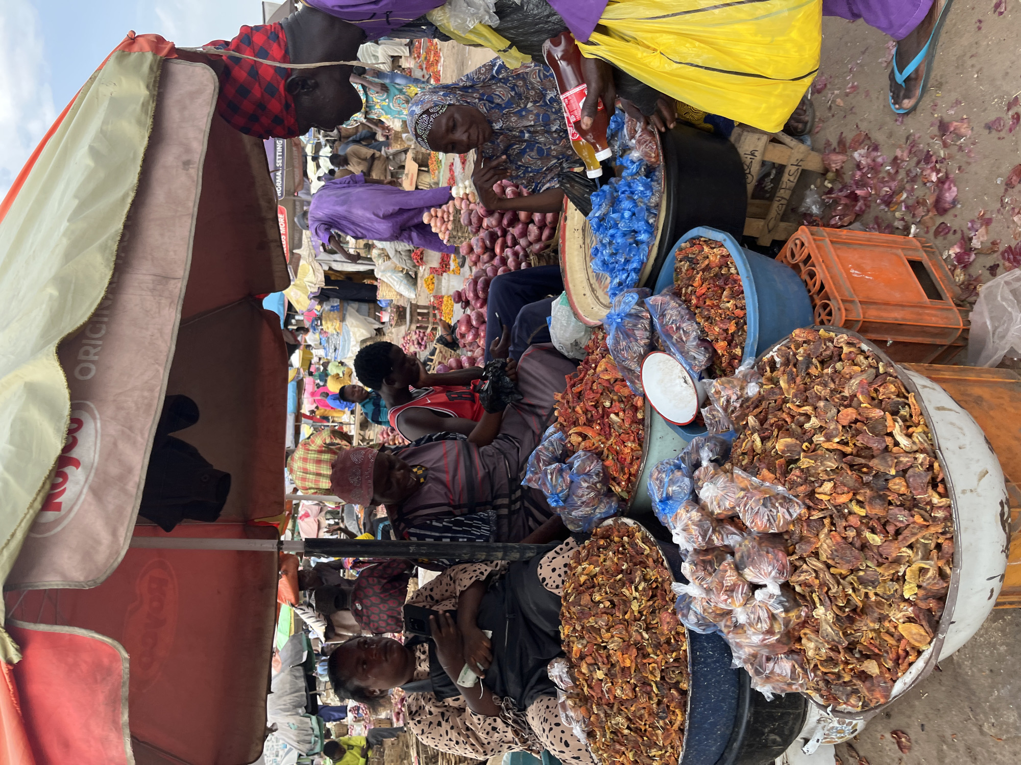 This image depicts a busy outdoor market stall in Rafin Par, Nigeria. The stall is covered by a large, red and white striped umbrella, providing shade. In the foreground, several large bowls are filled with dried produce, appearing to be a mix of dried fruits and vegetables such as apricots and peppers. Bags of similar dried goods are also visible.
Several people are present at the stall. On the left, a woman wearing a patterned top and a dark apron is seated, holding a mobile phone and some cash. Next to her, another woman in a striped top is also seated. To the right, a woman wearing a blue and white patterned headscarf and clothing is seated, holding a bottle of red liquid. A person in a purple garment is standing behind the seated woman, and another person wearing a red and black checkered head covering is visible on the far right, facing away from the camera.
In the background, more market activity is suggested with other stalls and people milling around. Piles of red onions are visible in the middle ground. The ground of the market appears to be dirt or concrete, with scattered debris such as onion skins. The overall scene conveys a lively and bustling marketplace environment.