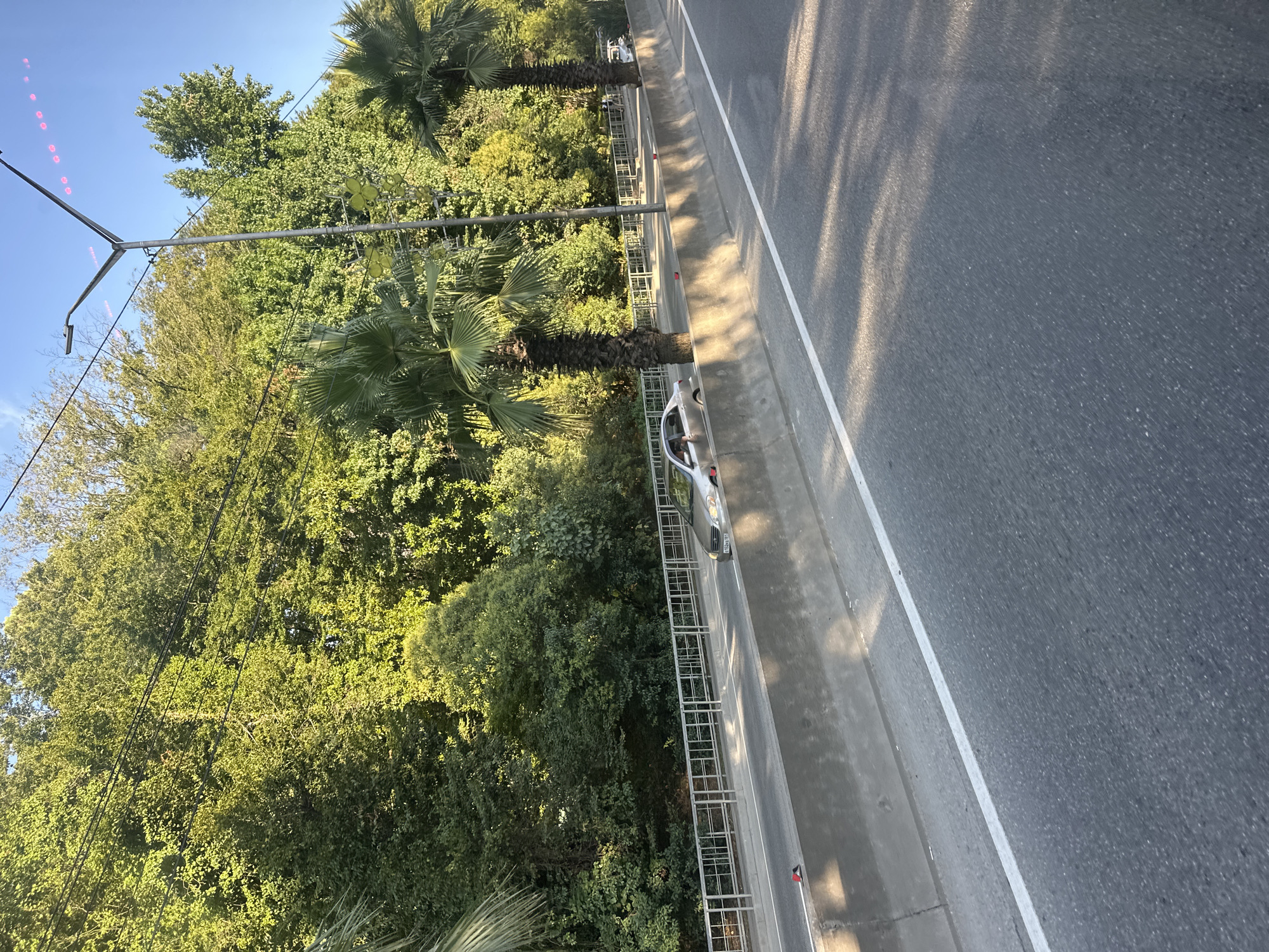A silver sedan is parked on the shoulder of a highway in Sochi, Russia. The car is facing right and appears to be damaged on the passenger side. A concrete barrier separates the shoulder from the highway lanes. Behind the barrier, a metal fence runs along a steep embankment covered with lush green trees. Two palm trees stand tall in front of the trees, and a street lamp is visible in the distance. The sky is a clear blue. The sun casts shadows on the highway, suggesting it is either morning or late afternoon.