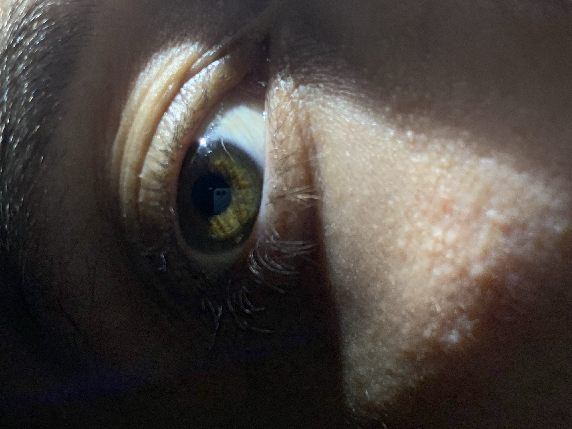 The image is a close-up shot of a human eye. The iris appears to be hazel, with variations in brown and gold hues. The pupil is dark and centrally located. The surrounding sclera (white part of the eye) is visible, showing some blood vessels. Eyelashes are present on the lower eyelid, with eyebrows showing at the top. The skin around the eye displays fine wrinkles. The lighting is uneven, with a strong light source illuminating the upper part of the eye area, creating shadows and highlights. The location is not identifiable as Chaikovsky, Russia based on the visual information alone.