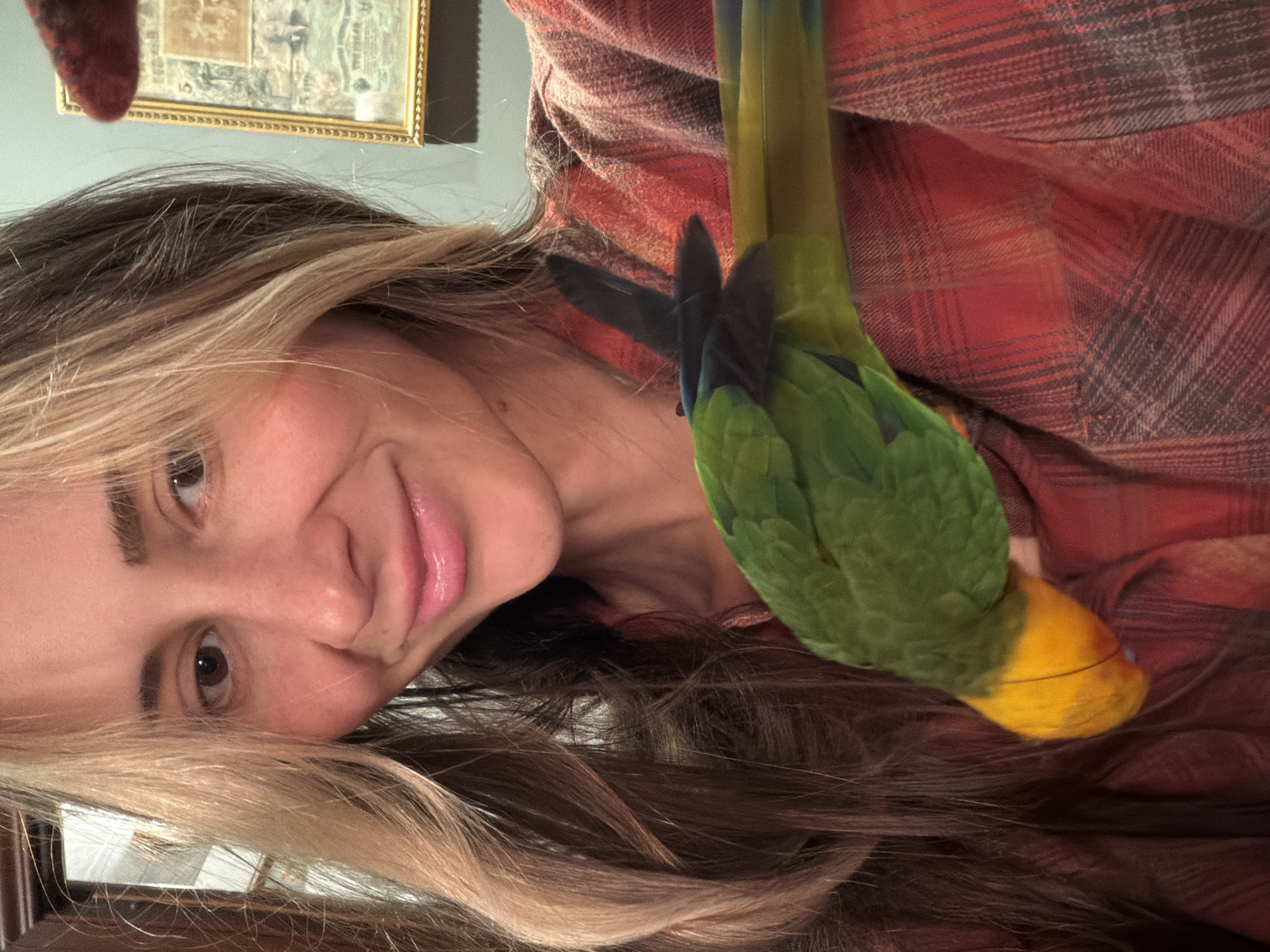 This close-up portrait shows a woman smiling with a parrot on her shoulder, captured in an indoor setting. The image, while originally rotated, depicts the woman on the left side, looking towards the camera with a gentle smile. She has long hair with prominent blonde highlights and darker roots, and brown eyes. She is wearing a red and black plaid flannel shirt.
On the right side of the frame, a vibrant green parrot with a distinct yellow head and some blue feathers on its wings and tail is perched. The parrot's body is mostly green, and its head is turned downwards. It appears to be comfortably resting near the woman's head or shoulder.
In the blurred background, a light-colored wall is visible, with a gold-framed picture or artwork hanging. The lighting suggests it is daytime. The overall mood is warm and affectionate, highlighting the bond between the woman and the parrot. No visible text is present in the image.