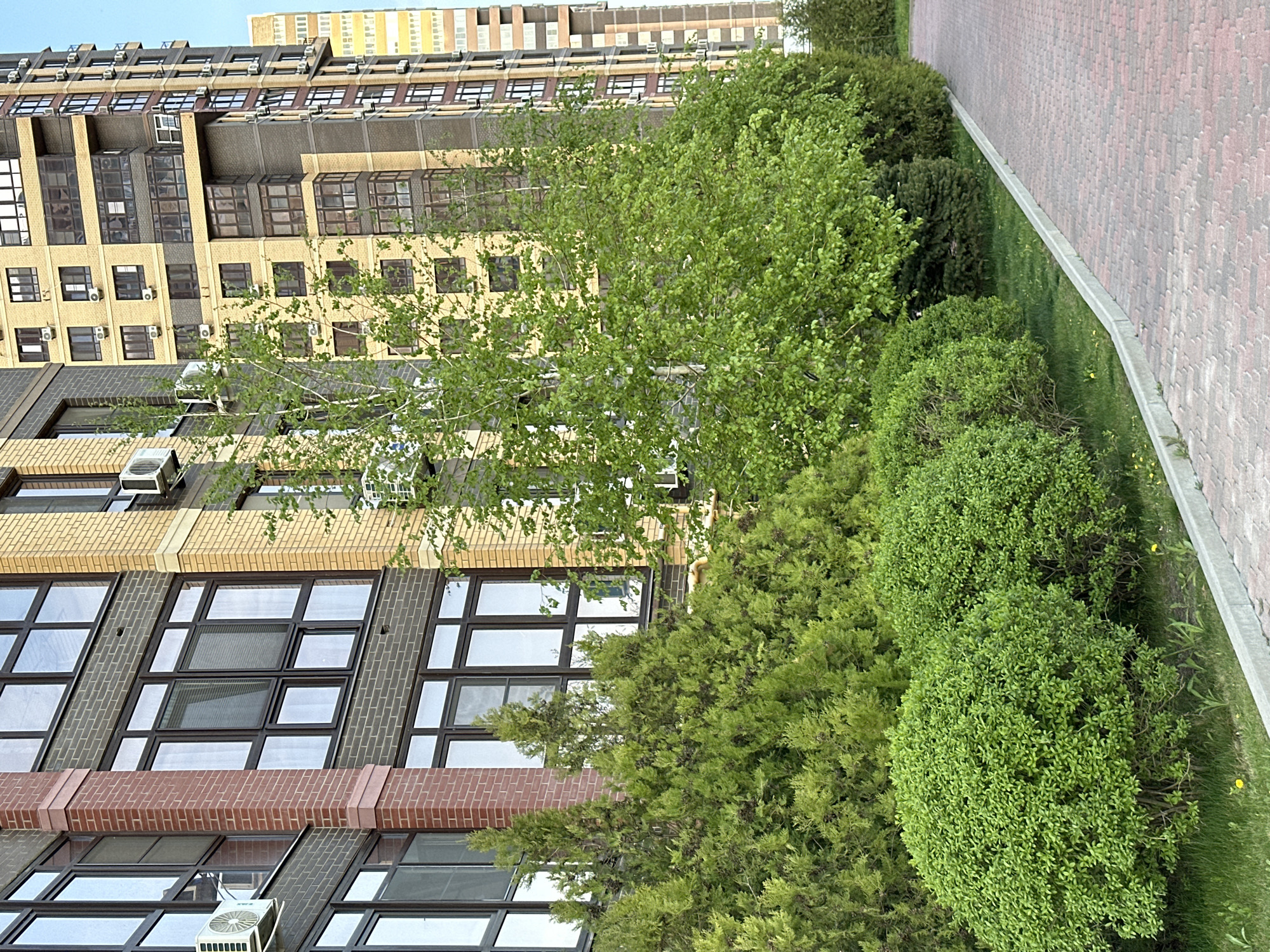 The image depicts a multi-story building with a facade composed of different materials, including brick and what appears to be stucco or concrete. Many windows and air conditioning units are visible on the exterior. A sidewalk made of red brick pavers runs alongside the building. The foreground is filled with various types of greenery, including shrubs and trees. The angle of the photograph is slightly tilted. The image was taken in Rostov-on-Don, Russia.