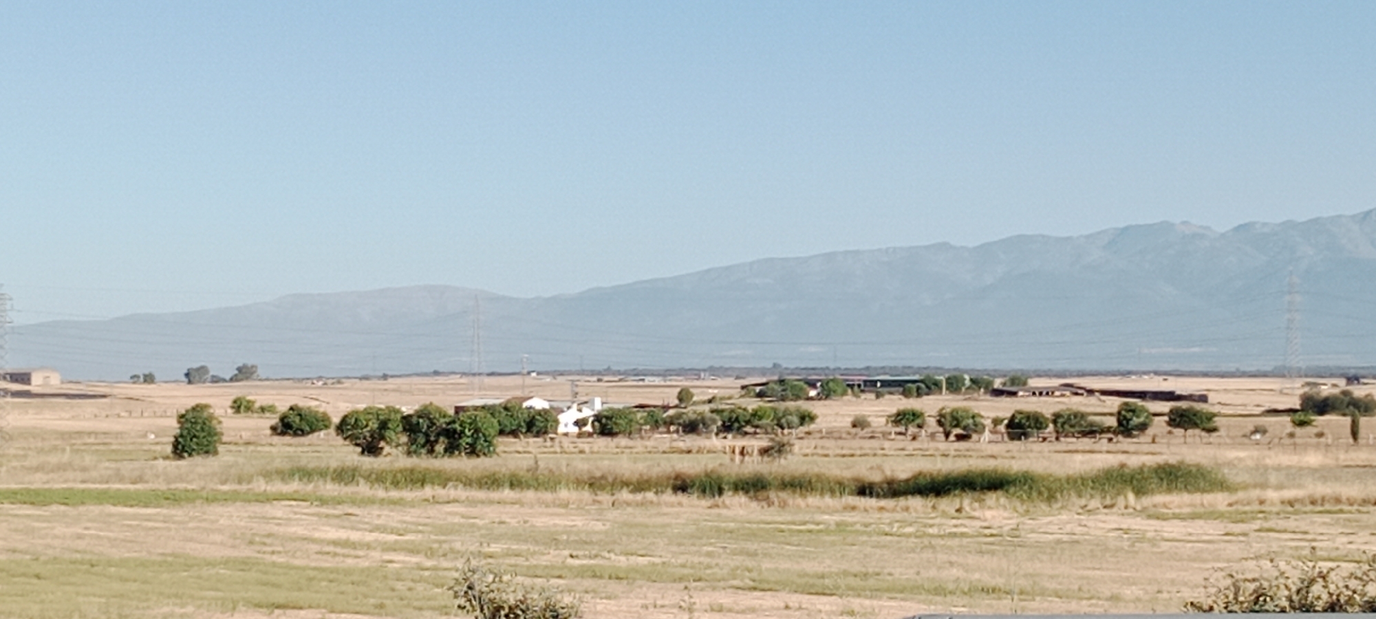 This image depicts a rural landscape with a clear, light blue sky. In the foreground, dry, golden-brown grasses cover the ground, with some patches of green vegetation. Several trees are scattered across the middle ground, some appearing as lush green bushes and others as larger, more mature trees.
In the middle ground, there is a cluster of buildings, including white structures that appear to be houses and possibly a larger agricultural building. Some of these buildings are surrounded by trees and fences. A tall, lattice-like tower, likely a radio or transmission tower, is visible behind these buildings. In the distance, a range of hazy, blue mountains forms the horizon. Power lines and tall, industrial-looking towers are also present in the landscape, suggesting the proximity of infrastructure. The overall impression is one of a dry, agricultural area with some development. The scene is set in Oropesa, Spain.