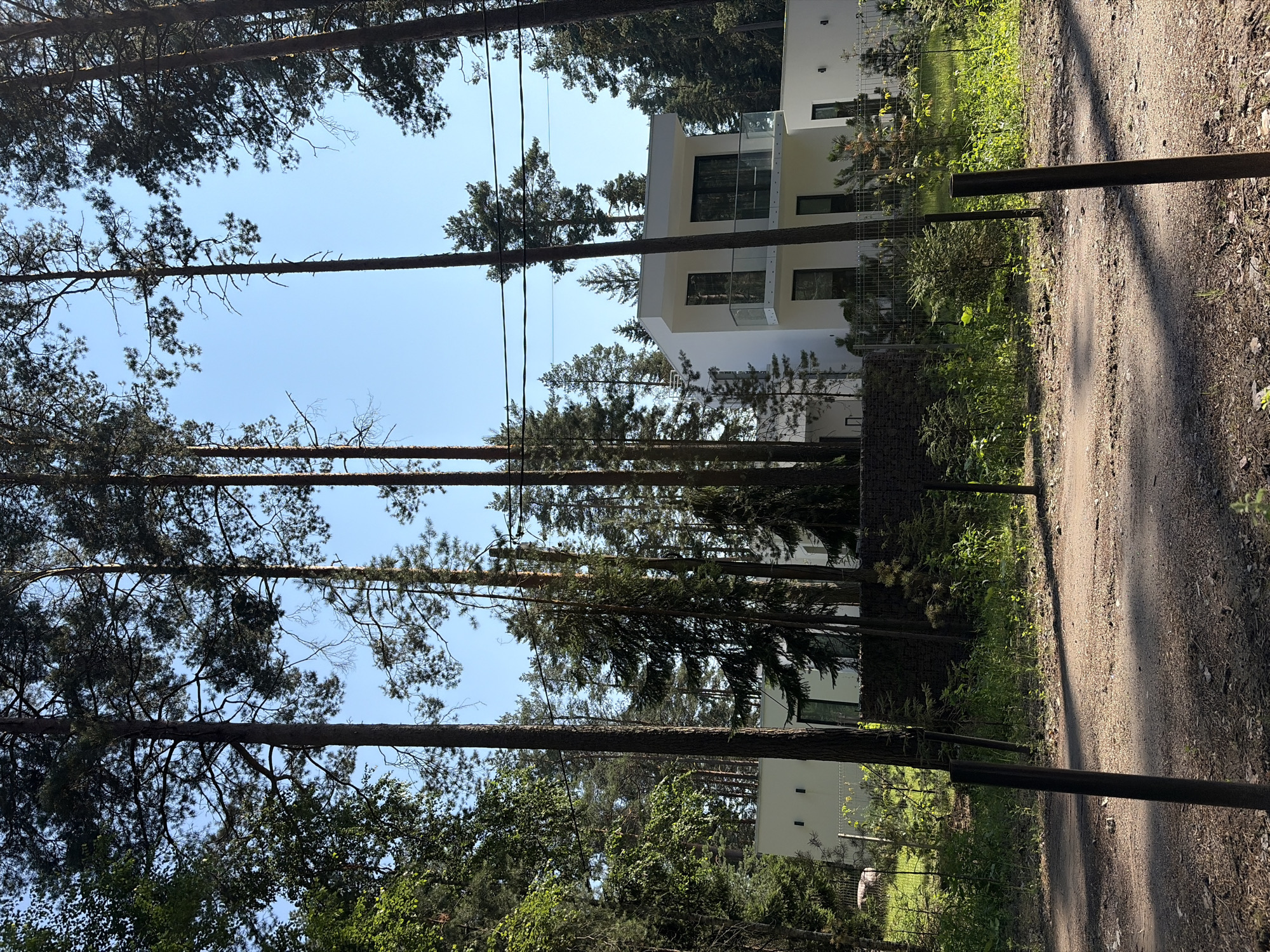 In the city of Steklyannyi, Russia, a contemporary white house is nestled amongst tall pine trees. The house features clean lines, large windows, and a balcony with a glass railing on its upper floor. A dirt path leads to the property, with dark metal posts marking the edge of the path. The surrounding environment is lush and green, with various trees and foliage under a clear blue sky. The scene suggests a secluded and modern residence within a natural, wooded setting.